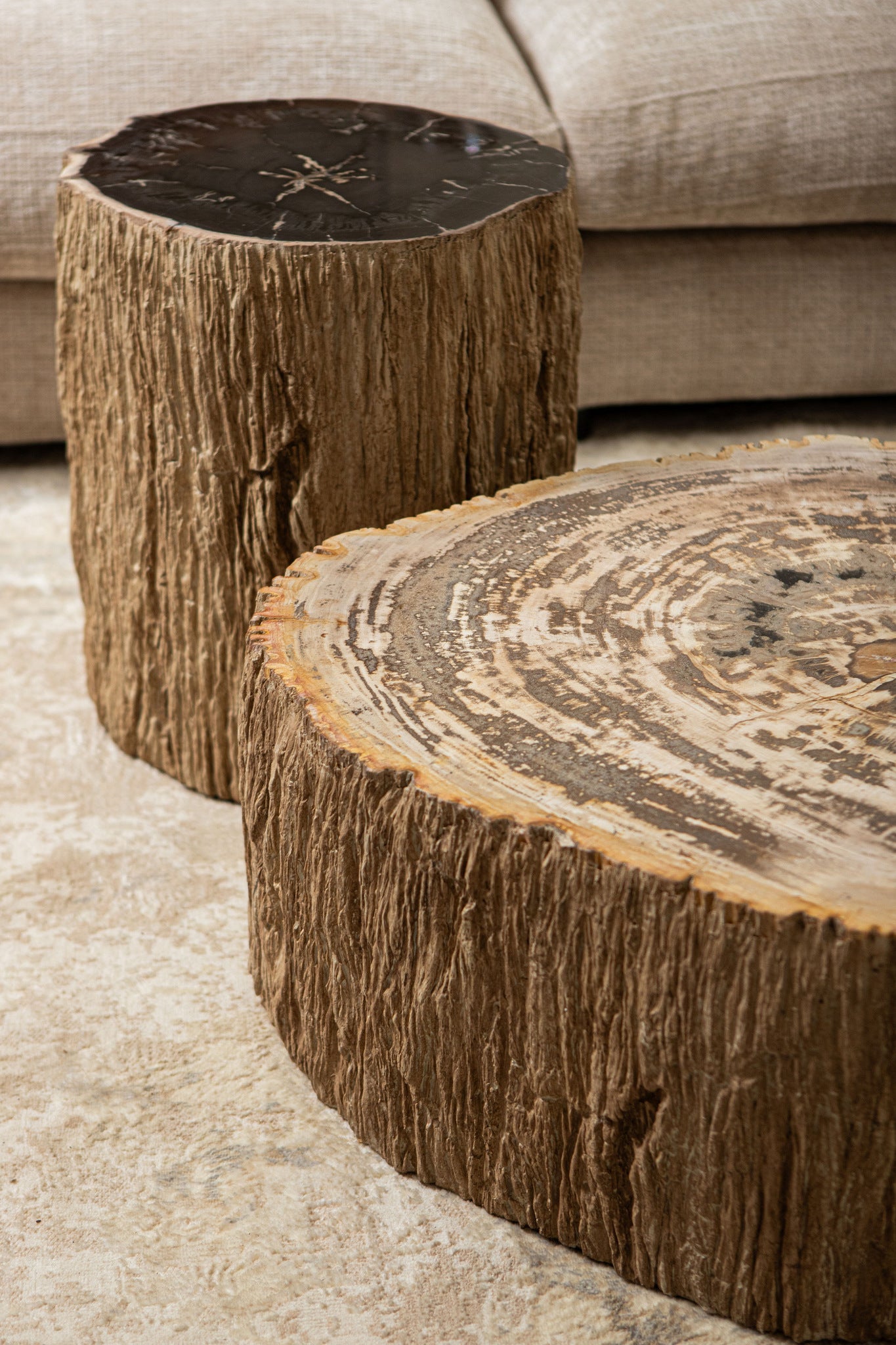 Taly Natural petrified wood round stool fiberglass - Photo 4