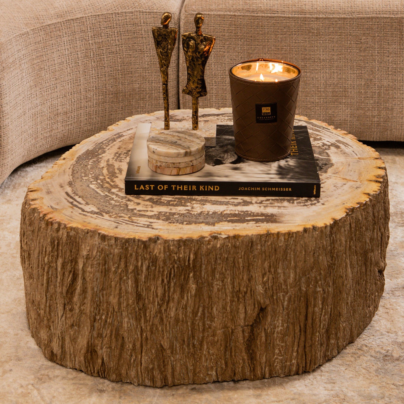 Taly Natural petrified coffeetable fiberglass S - Photo 11