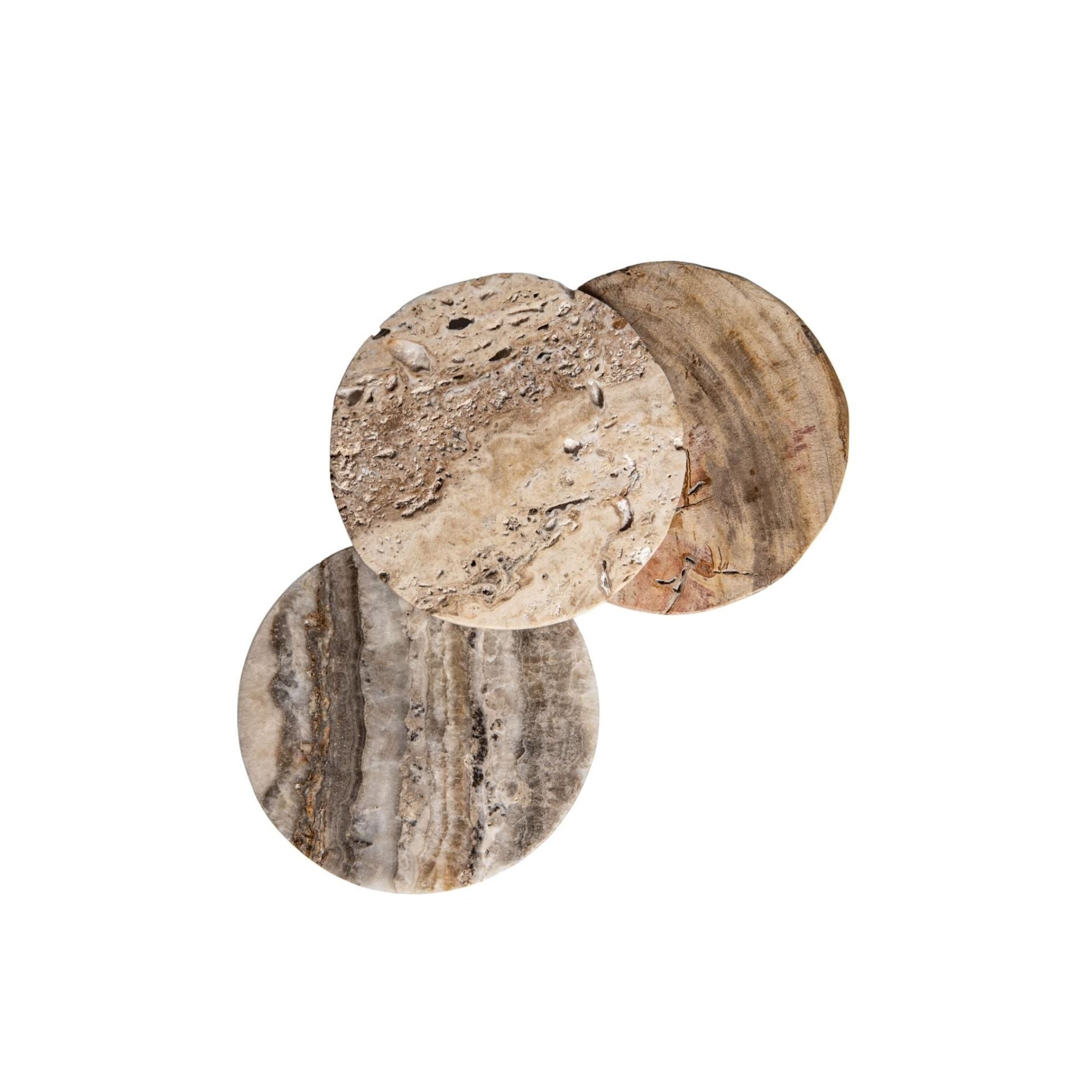 Jaidan Natural petrified wood mix coaster set of 3