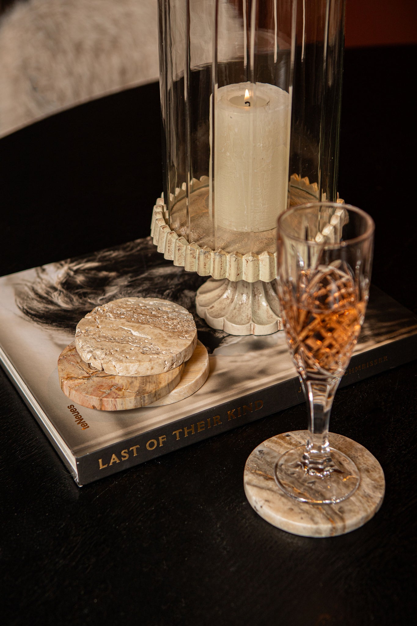 Jaidan Natural petrified wood mix coaster set of 3