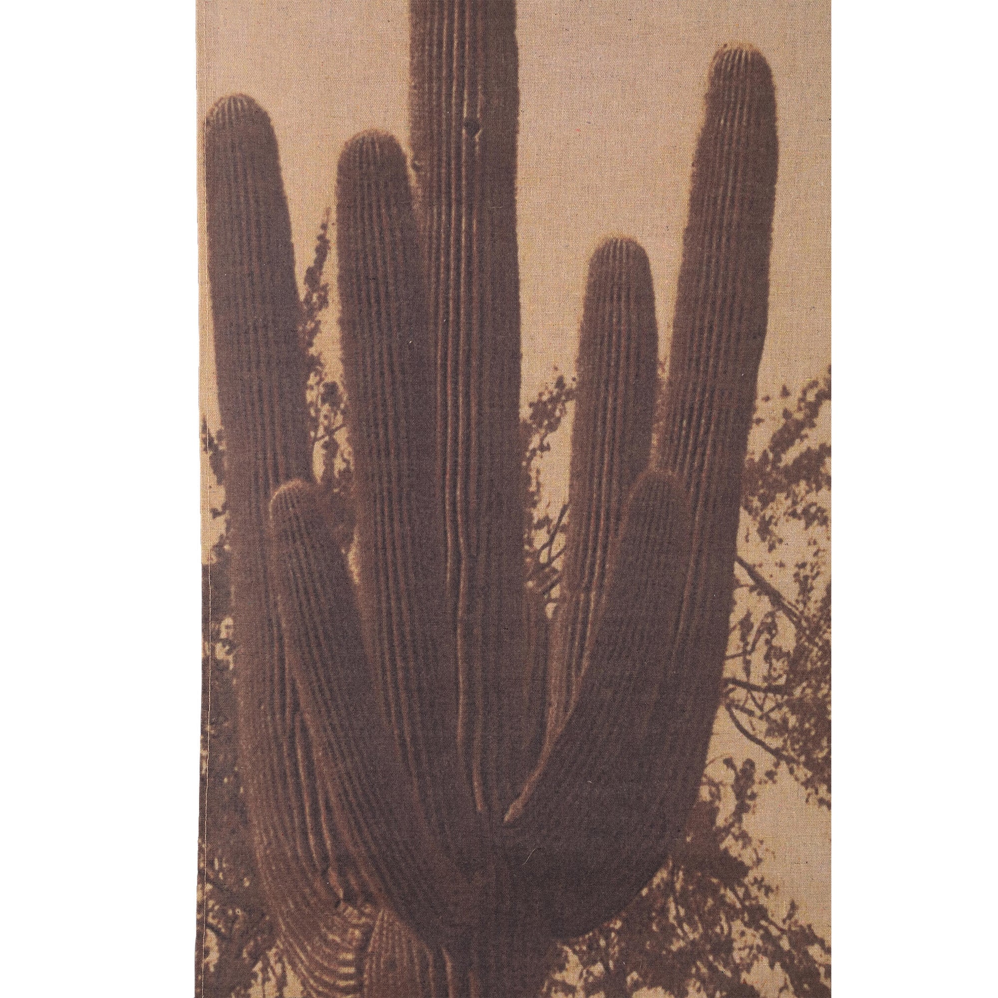Nimrod Light Brown linnen paiting w big cactuses