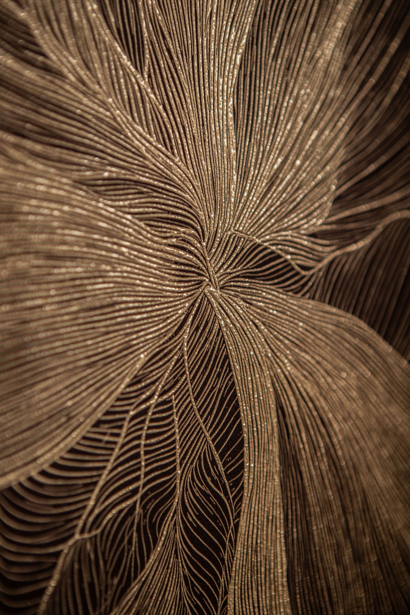 Lorinde Dark Brown canvas wall panel flower art