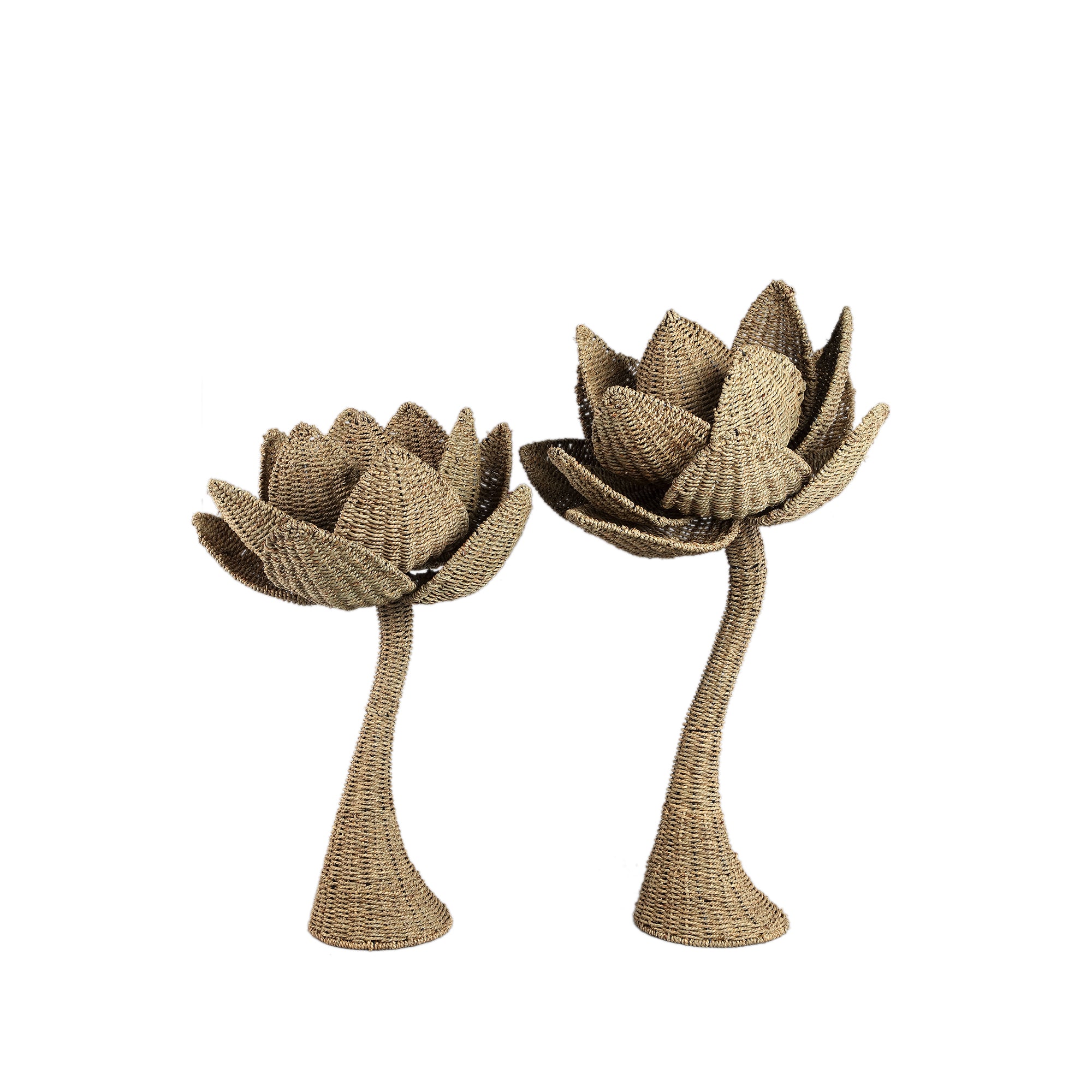 Ambre Natural seagrass woven flower statue L