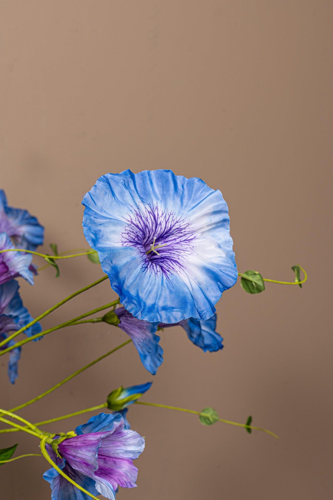 Garden Flower Blue morning glory pray Bleu — Fleur artificielle — vue 2 | Häus