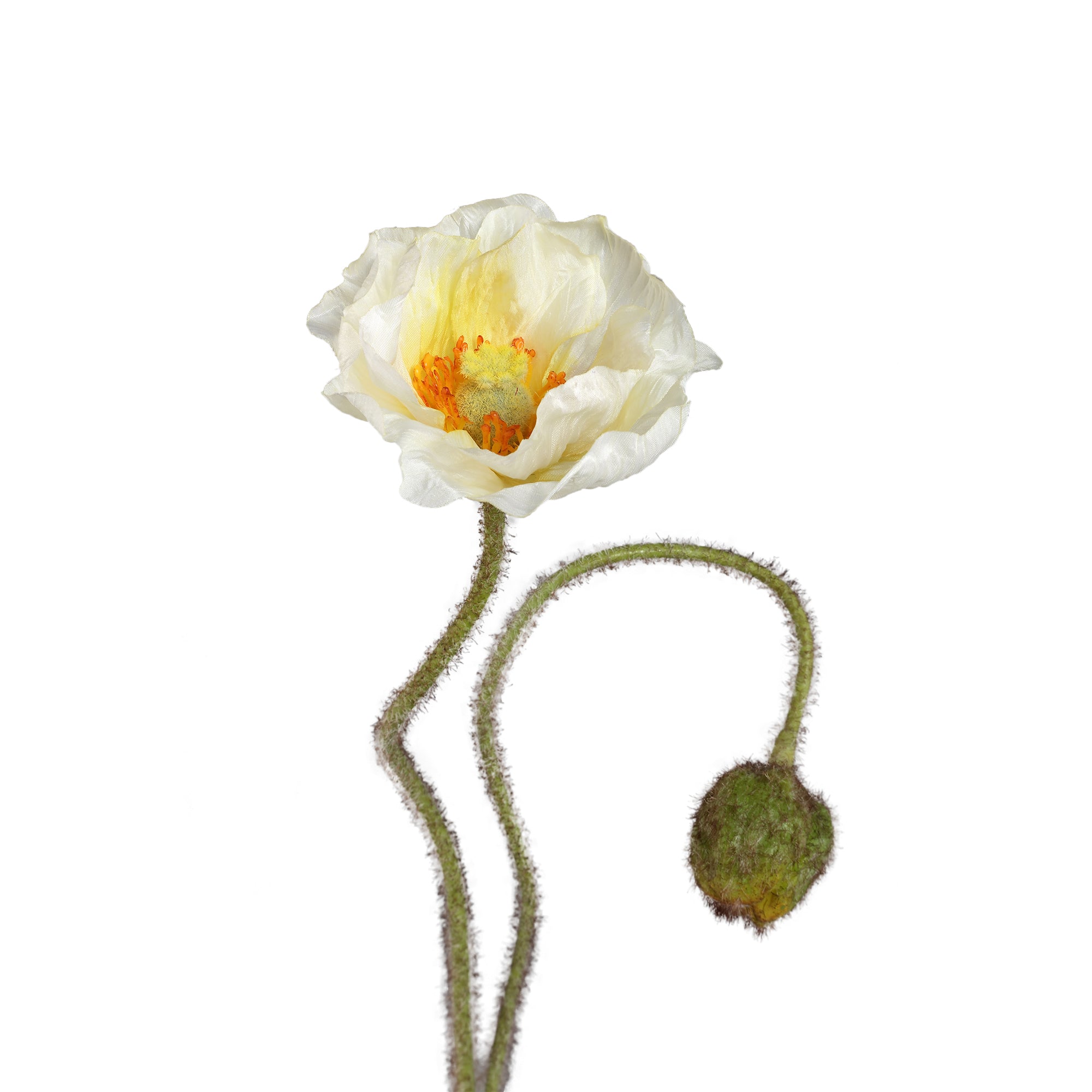 Poppy Flower White poppy spray with bud Blanc — Fleur artificielle — vue 2 | Häus