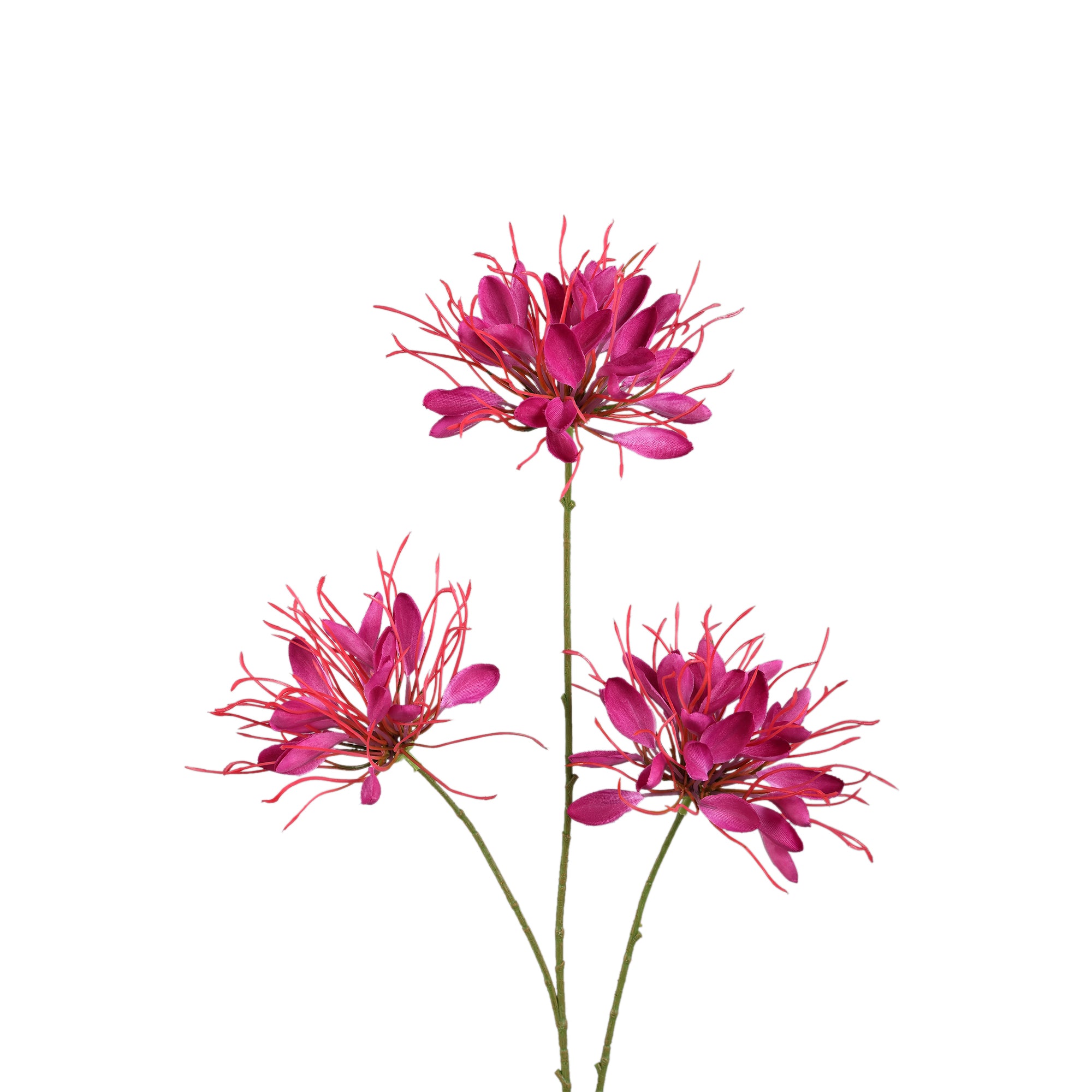 Garden Flower Burgundy spider flower spray Bordeaux — Fleur artificielle — vue 2 | Häus
