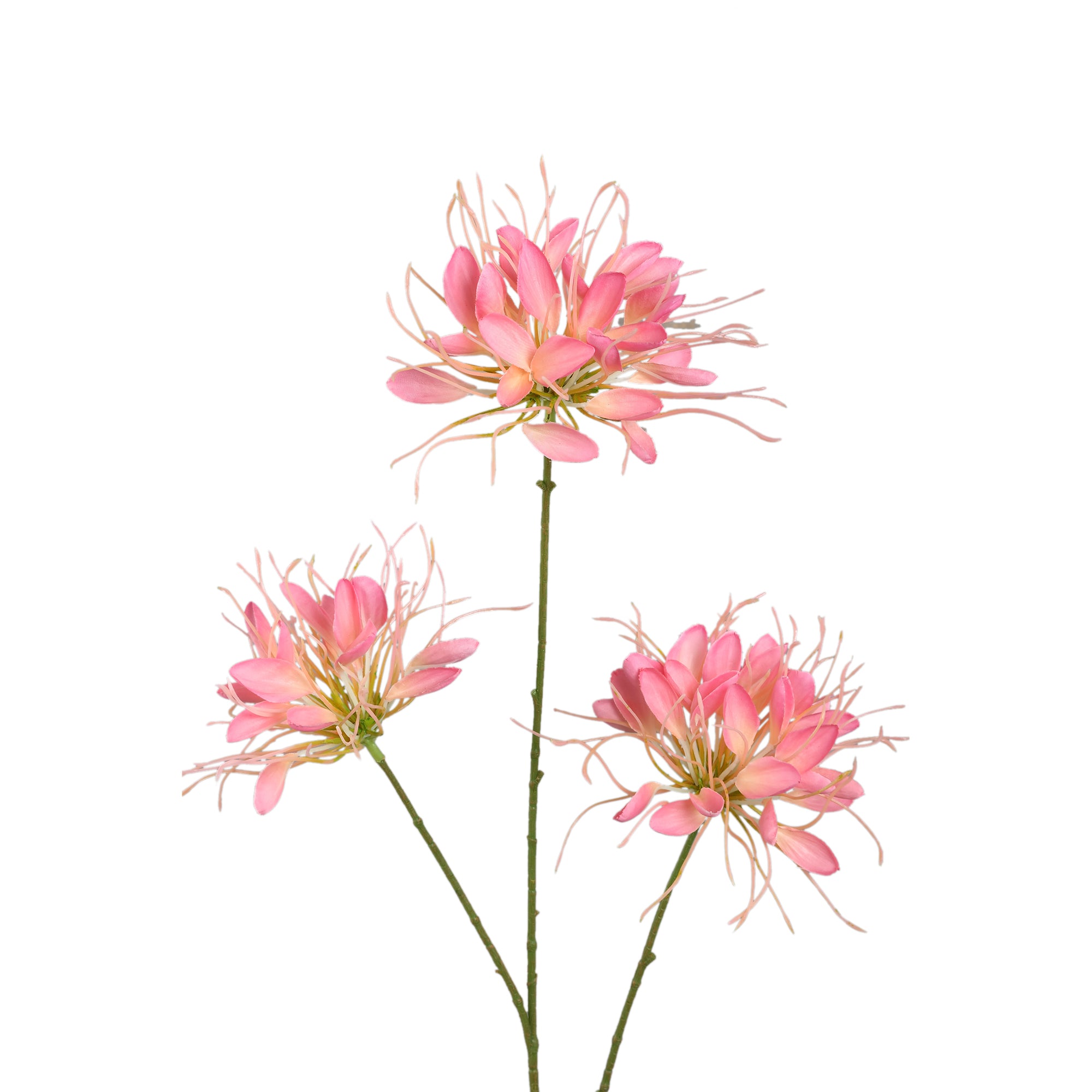 Garden Flower Pink spider flower spray Rose — Fleur artificielle — vue 2 | Häus