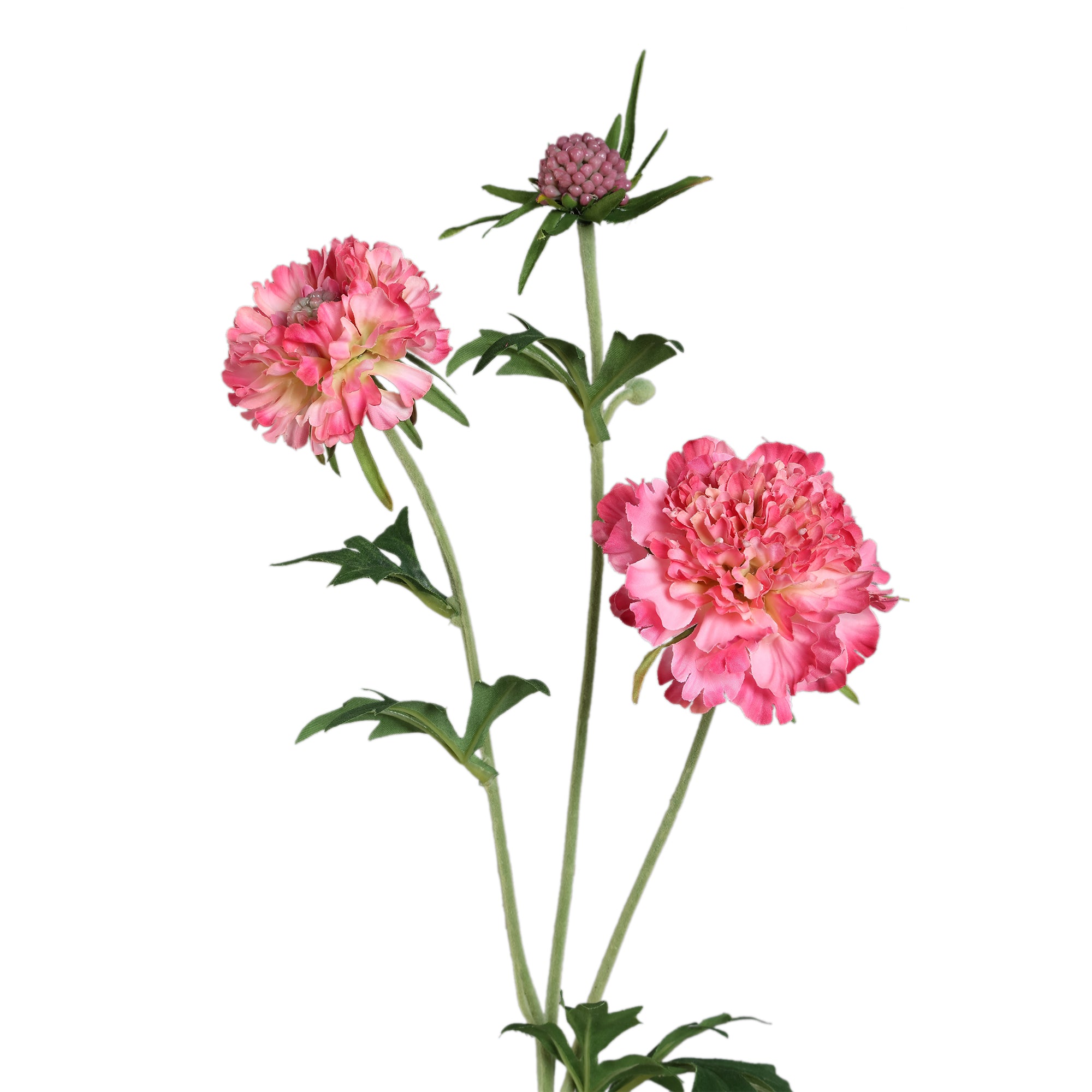 Garden Flower Bright Pink scabiosa spray with bud Bright Pink — Fleur artificielle — vue 2 | Häus