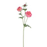 Garden Flower Bright Pink scabiosa spray with bud Bright Pink — Fleur artificielle — Fleur artificielle design premium | Häus
