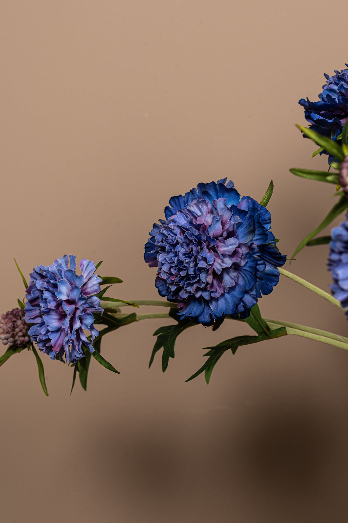 Garden Flower blue scabiosa spray with bud Bleu — Fleur artificielle — vue 3 | Häus