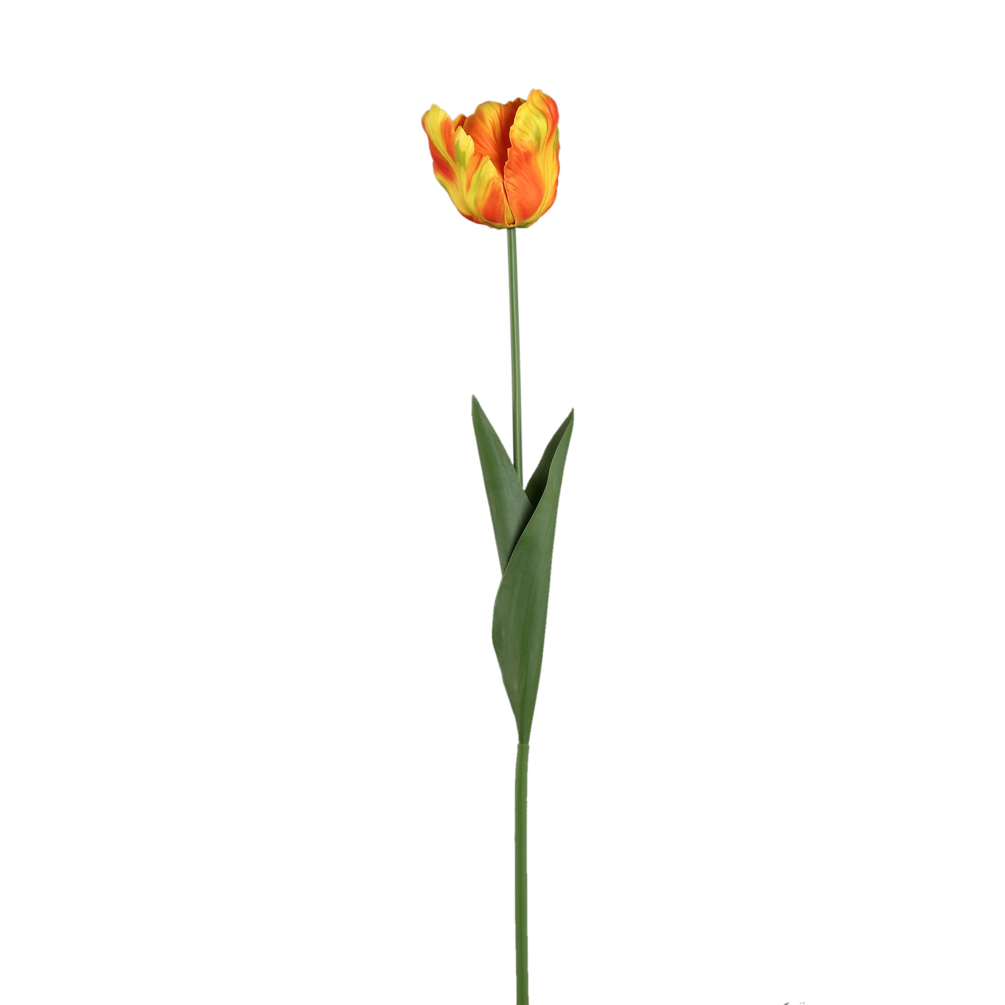 Tulip Flower Orange parrot tulip with leaves Orange — Fleur artificielle — Fleur artificielle design premium | Häus