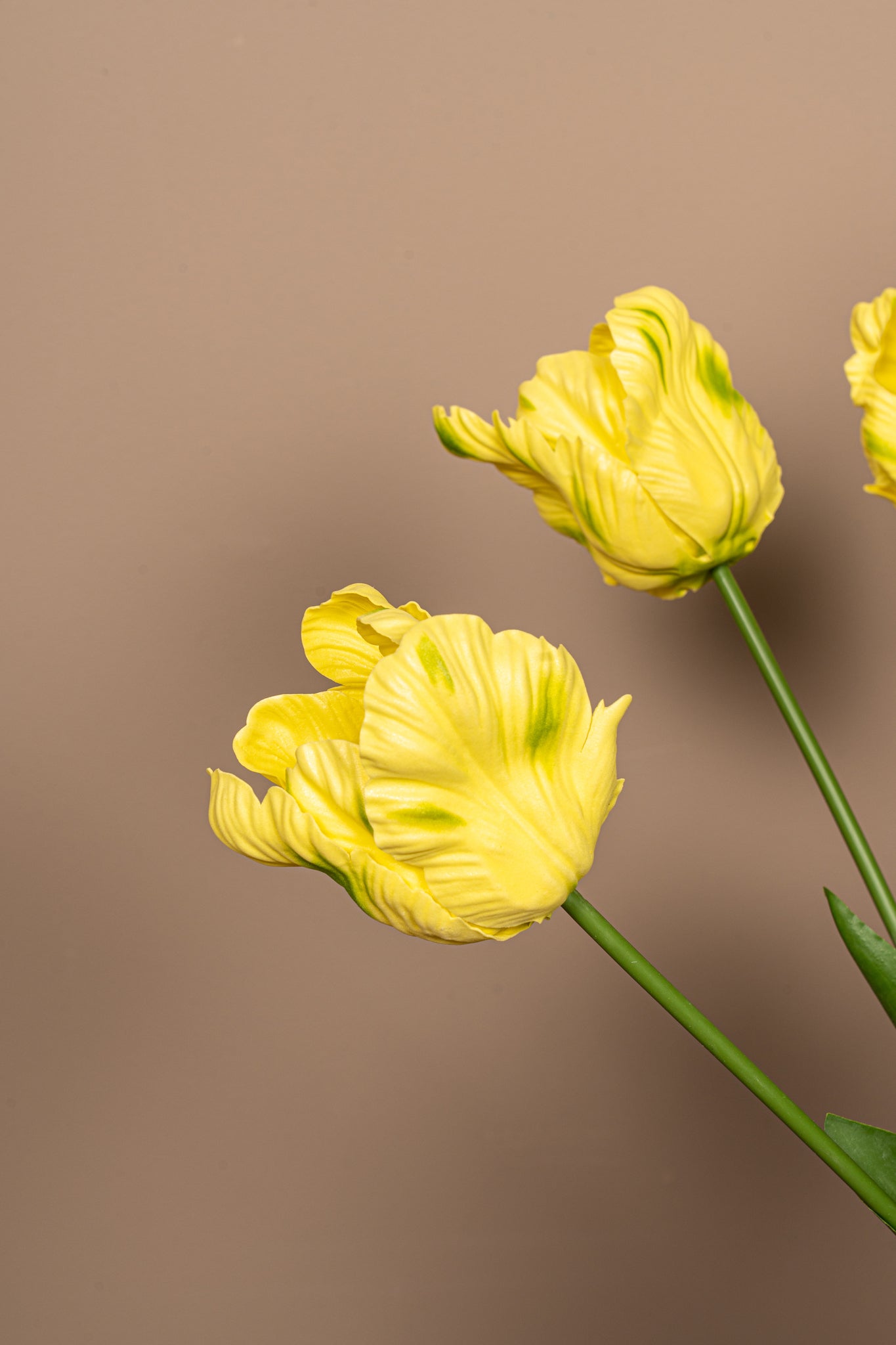 Tulip Flower Yellow parrot tulip with leaves Jaune — Fleur artificielle — vue 2 | Häus