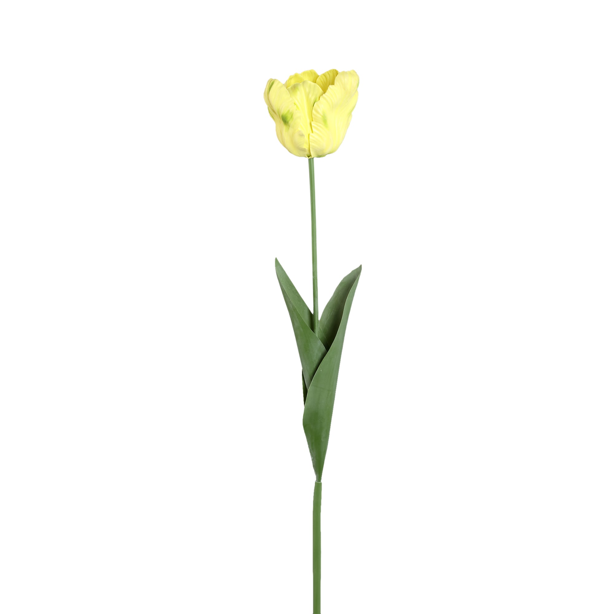 Tulip Flower Yellow parrot tulip with leaves Jaune — Fleur artificielle — Fleur artificielle design premium | Häus