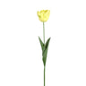 Tulip Flower Yellow parrot tulip with leaves Jaune — Fleur artificielle — Fleur artificielle design premium | Häus