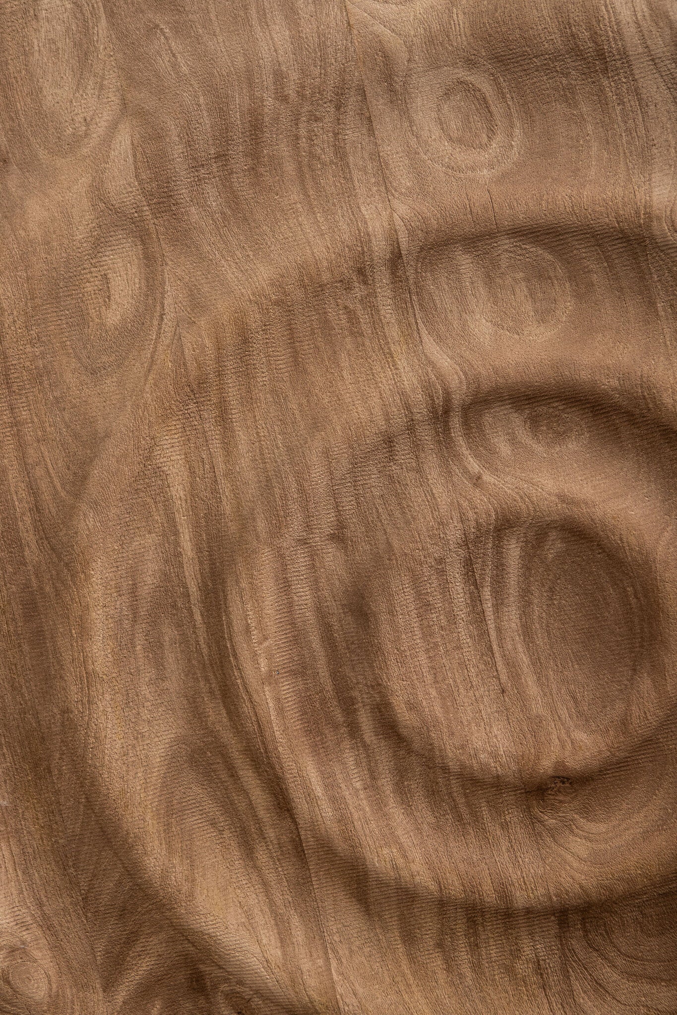 Mattin Natural mango wood circle wall panel rnd L