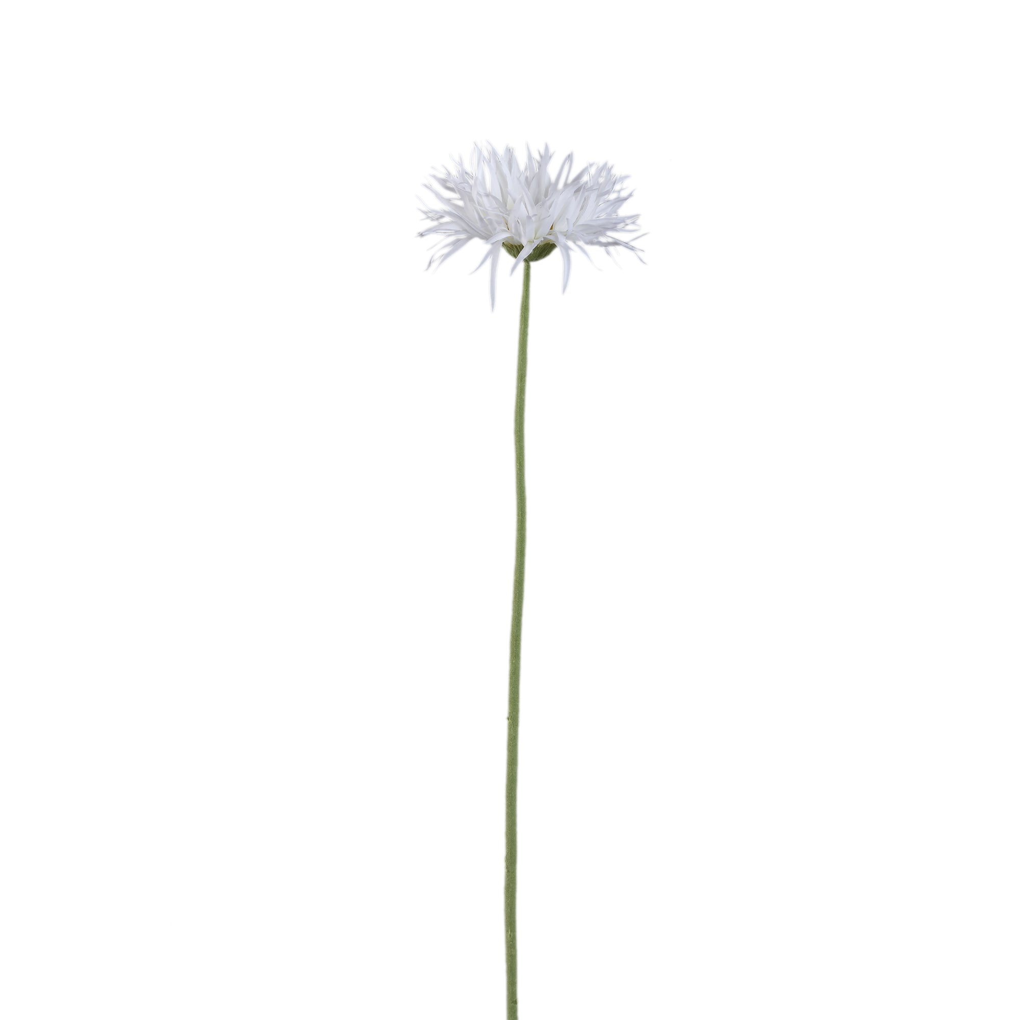 Gerbera Flower White gerbera Blanc — Fleur artificielle — Fleur artificielle design premium | Häus