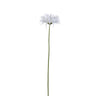 Gerbera Flower White gerbera Blanc — Fleur artificielle — Fleur artificielle design premium | Häus