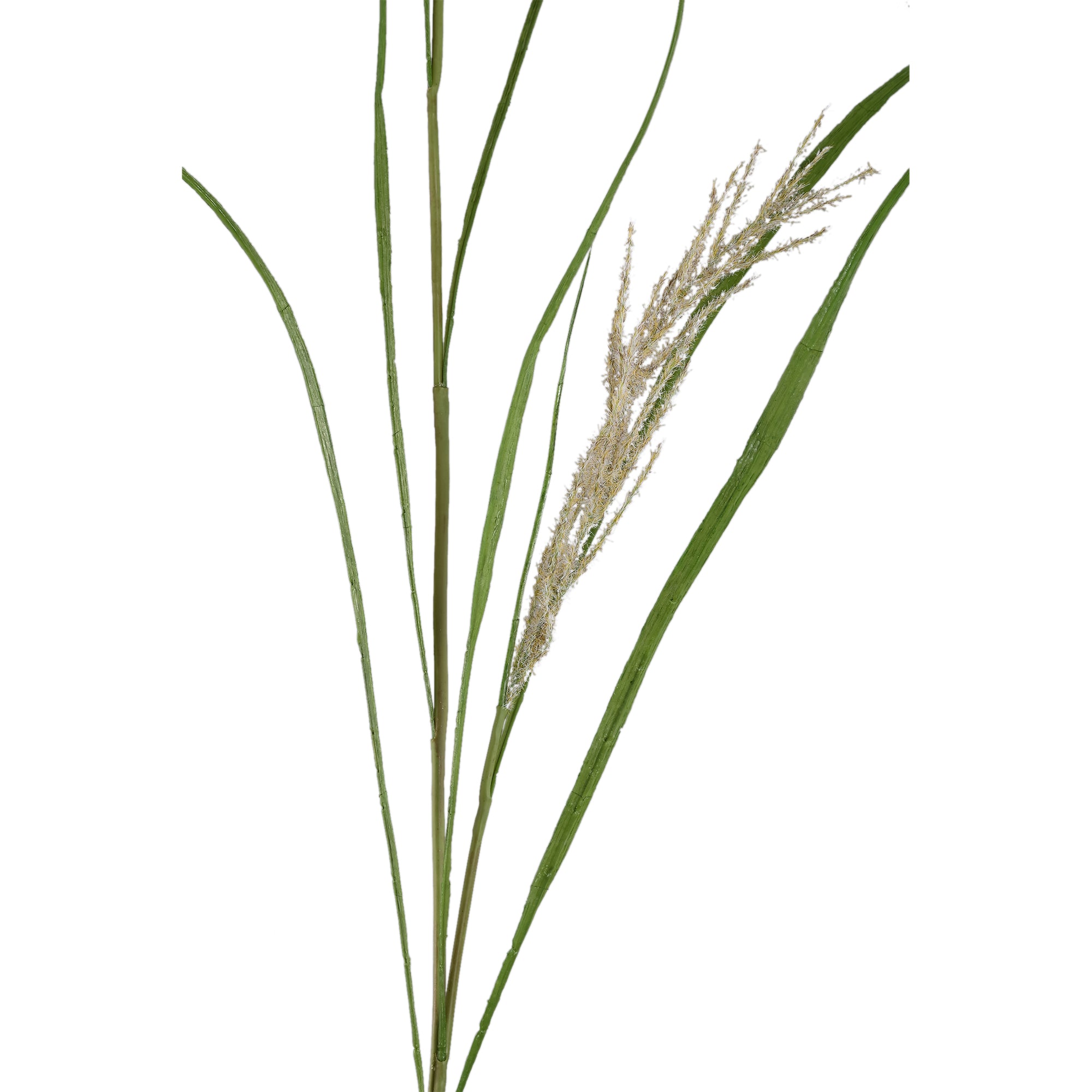Leaves Plant Green Beige phalaris grass spray Beige — Feuille artificielle — vue 2 | Häus