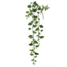 Leaves Plant Moss Green money plant hanging Moss Green — Feuille artificielle — Feuille artificielle design premium | Häus