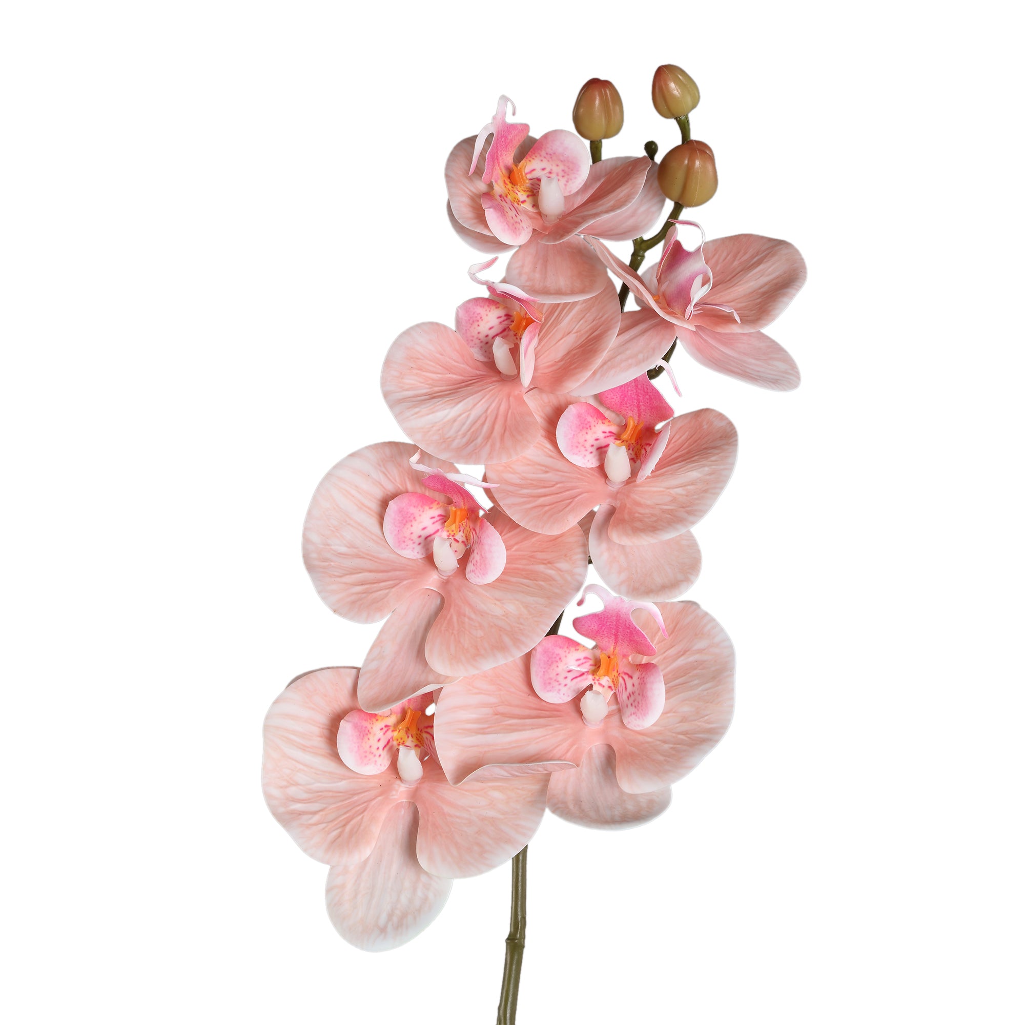 Orchid Flower peach phalaenopsis spray with leaves Pêche — Fleur artificielle — vue 2 | Häus