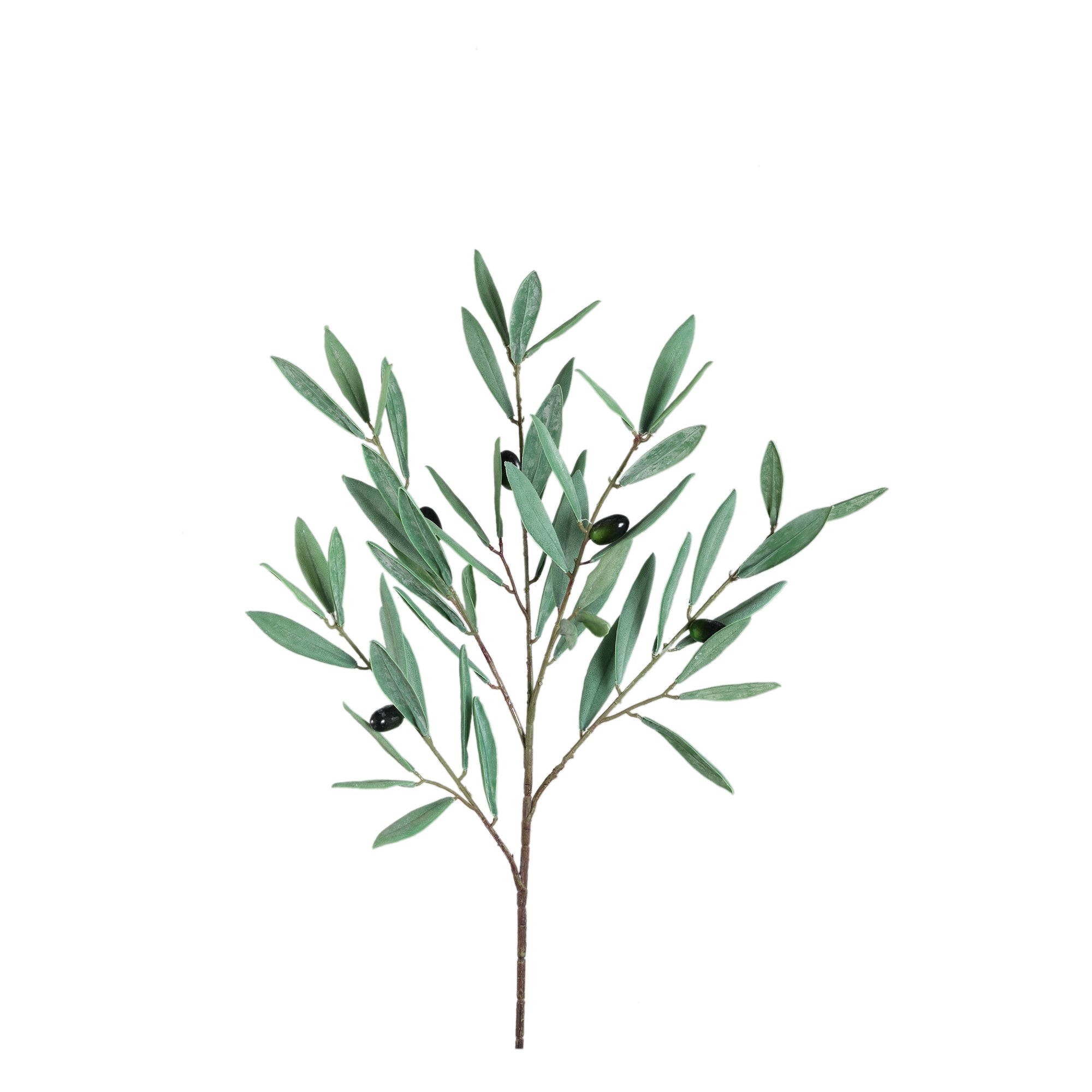 Leaves Plant green olive leaves spray small Vert — Feuille artificielle — Feuille artificielle design premium | Häus