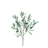 Leaves Plant green olive leaves spray small Vert — Feuille artificielle — Feuille artificielle design premium | Häus