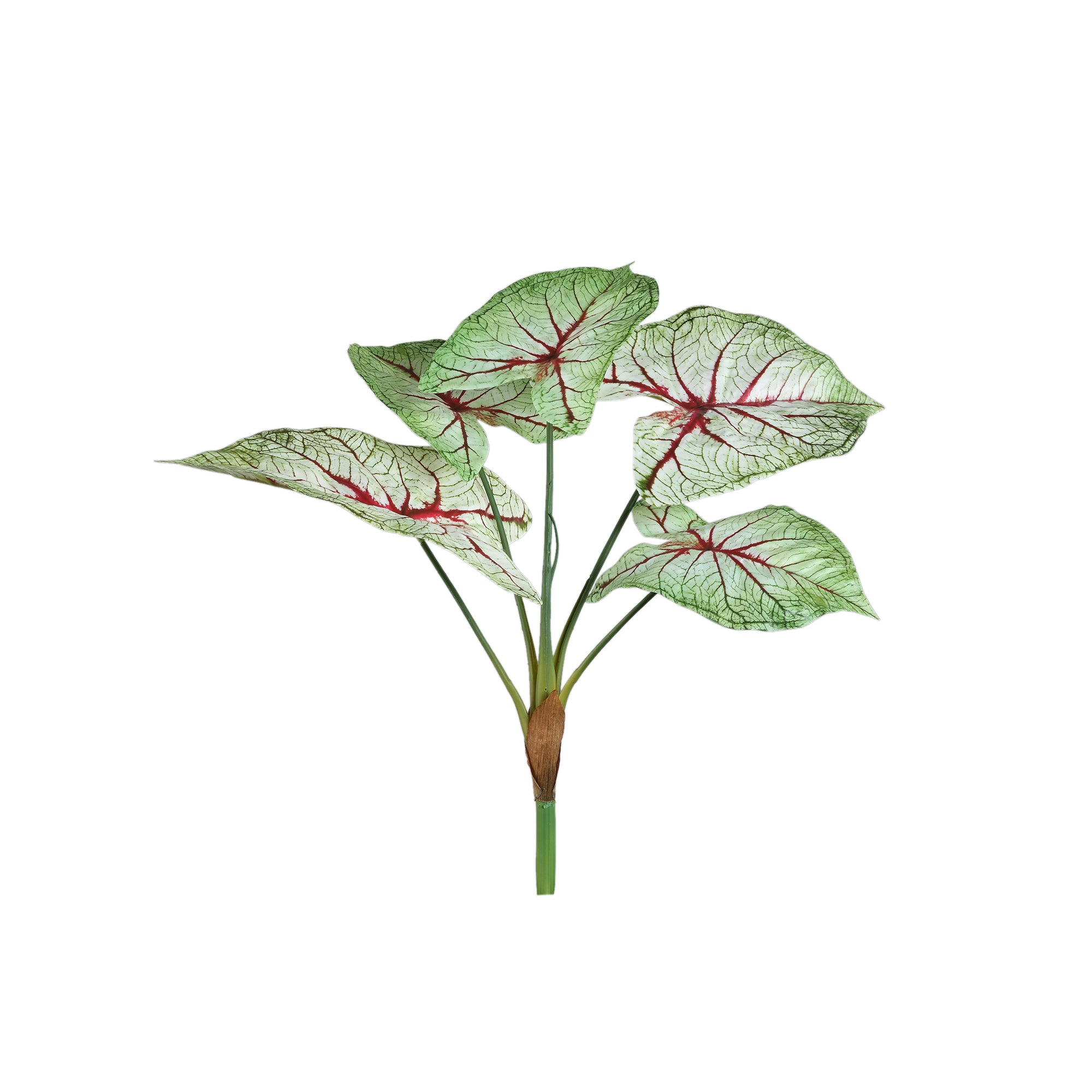Leaves Plant light green caladium leaf bush Vert — Feuille artificielle — Feuille artificielle design premium | Häus