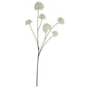 Branche artificielle Twig — Blanc
