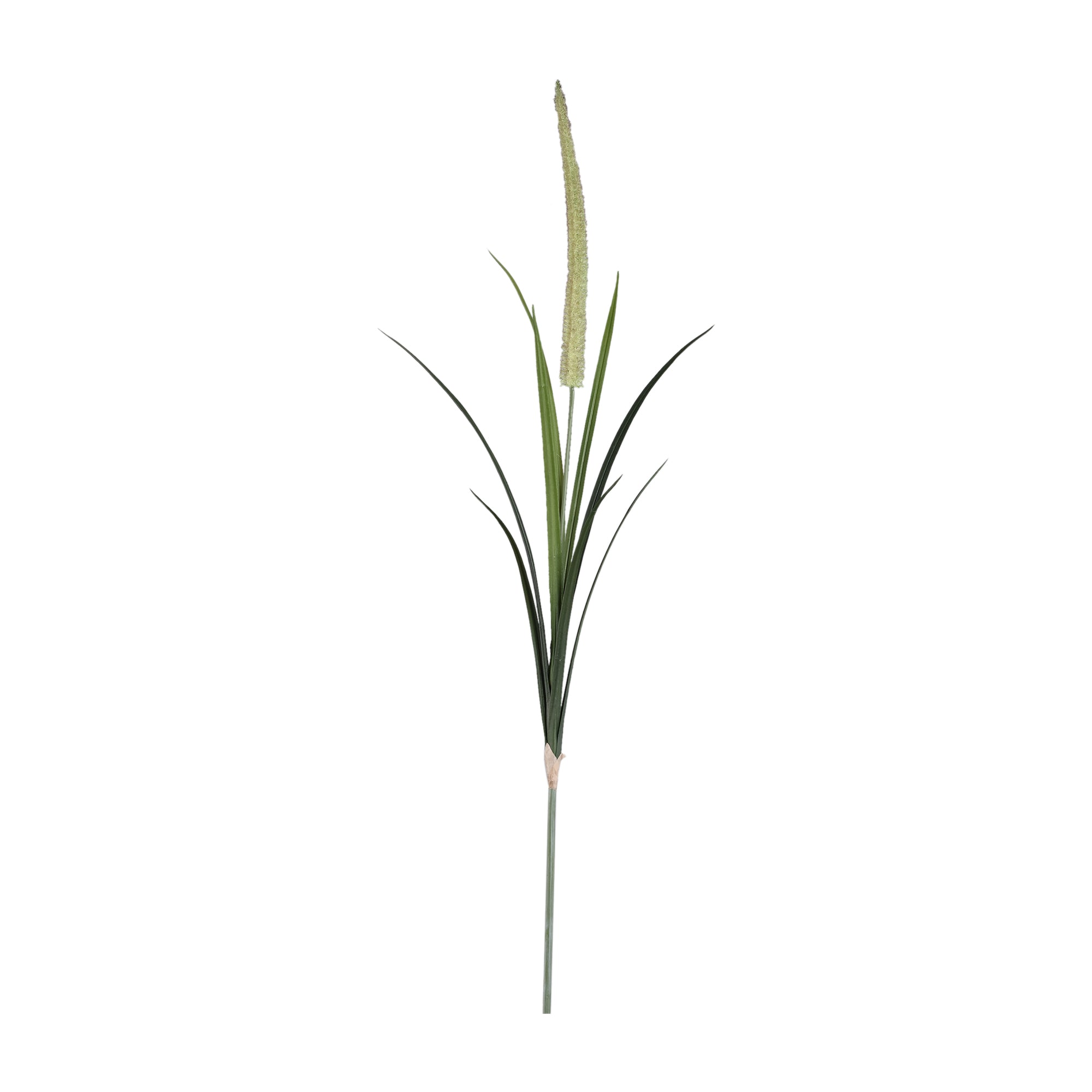 Grass Plant Green cattail grass spray Vert — Feuille artificielle — Feuille artificielle design premium | Häus