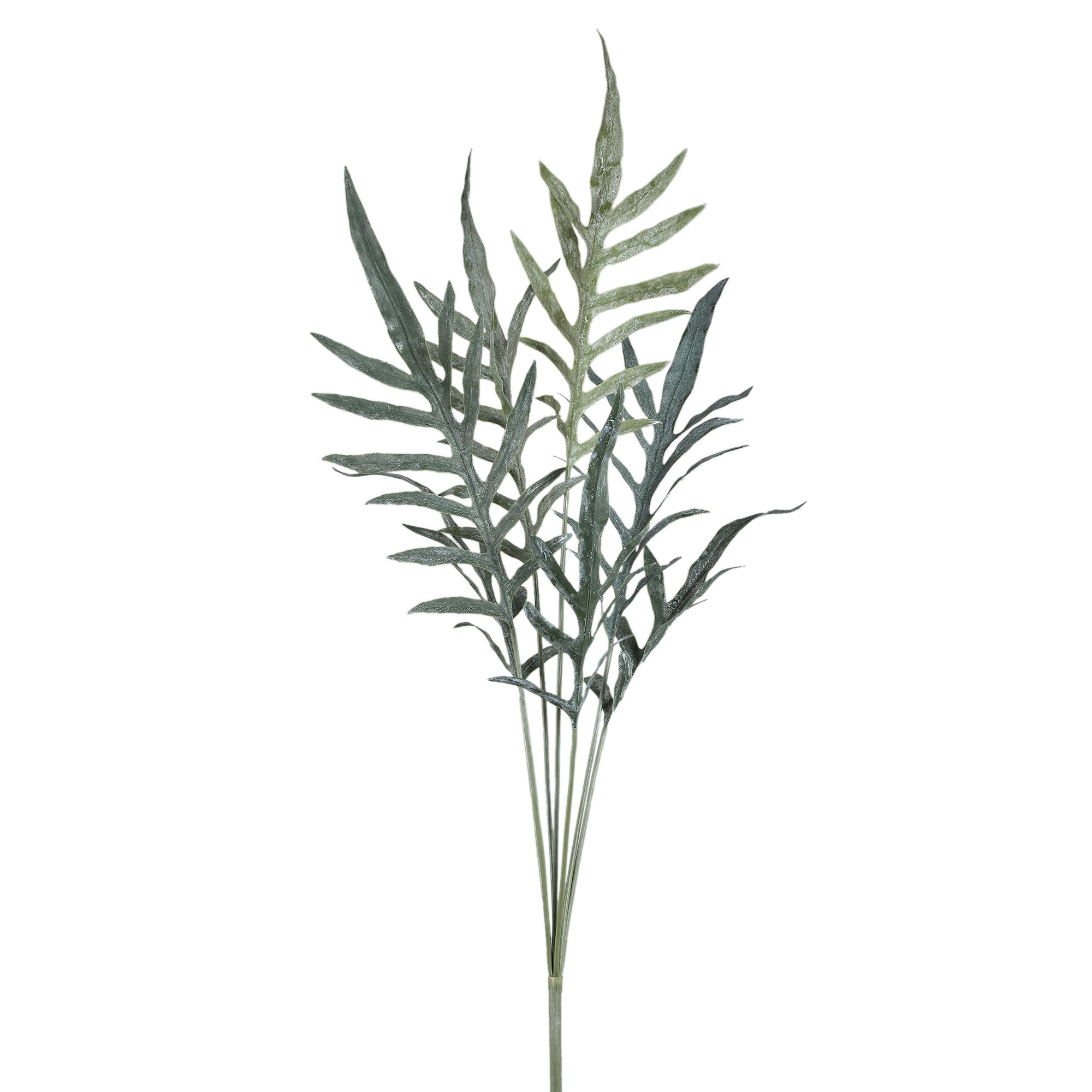 Fern Plant Green java fern bush L Vert — Feuille artificielle — Feuille artificielle design premium | Häus