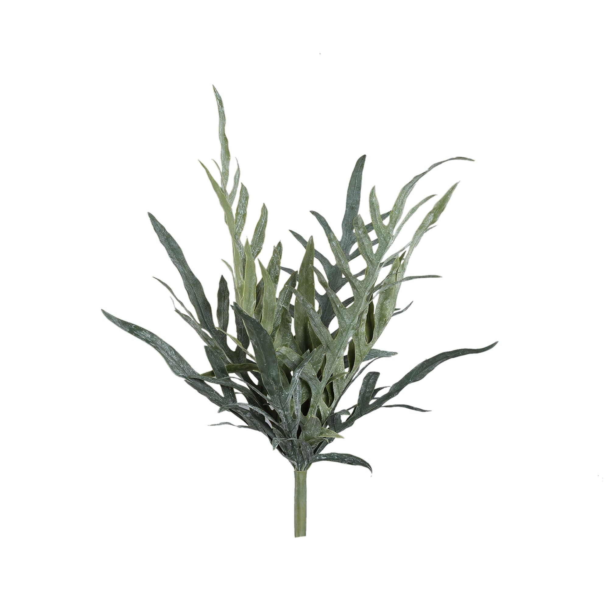 Fern Plant Green java fern bush S Vert foncé — Feuille artificielle — Feuille artificielle design premium | Häus
