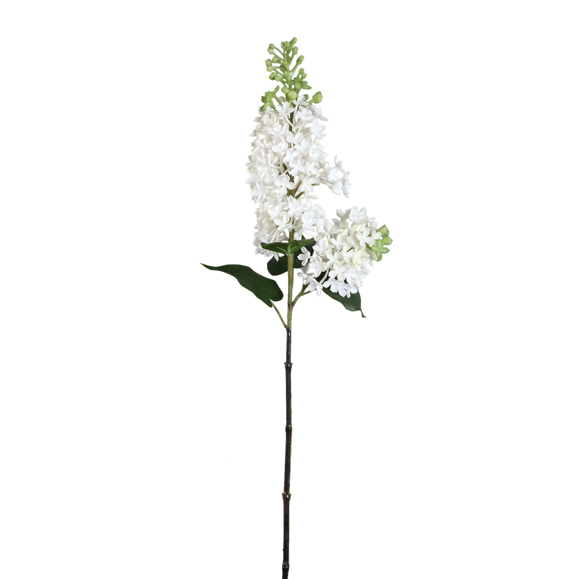 Garden Flower White lilac spray Blanc — Fleur artificielle — Fleur artificielle design premium | Häus