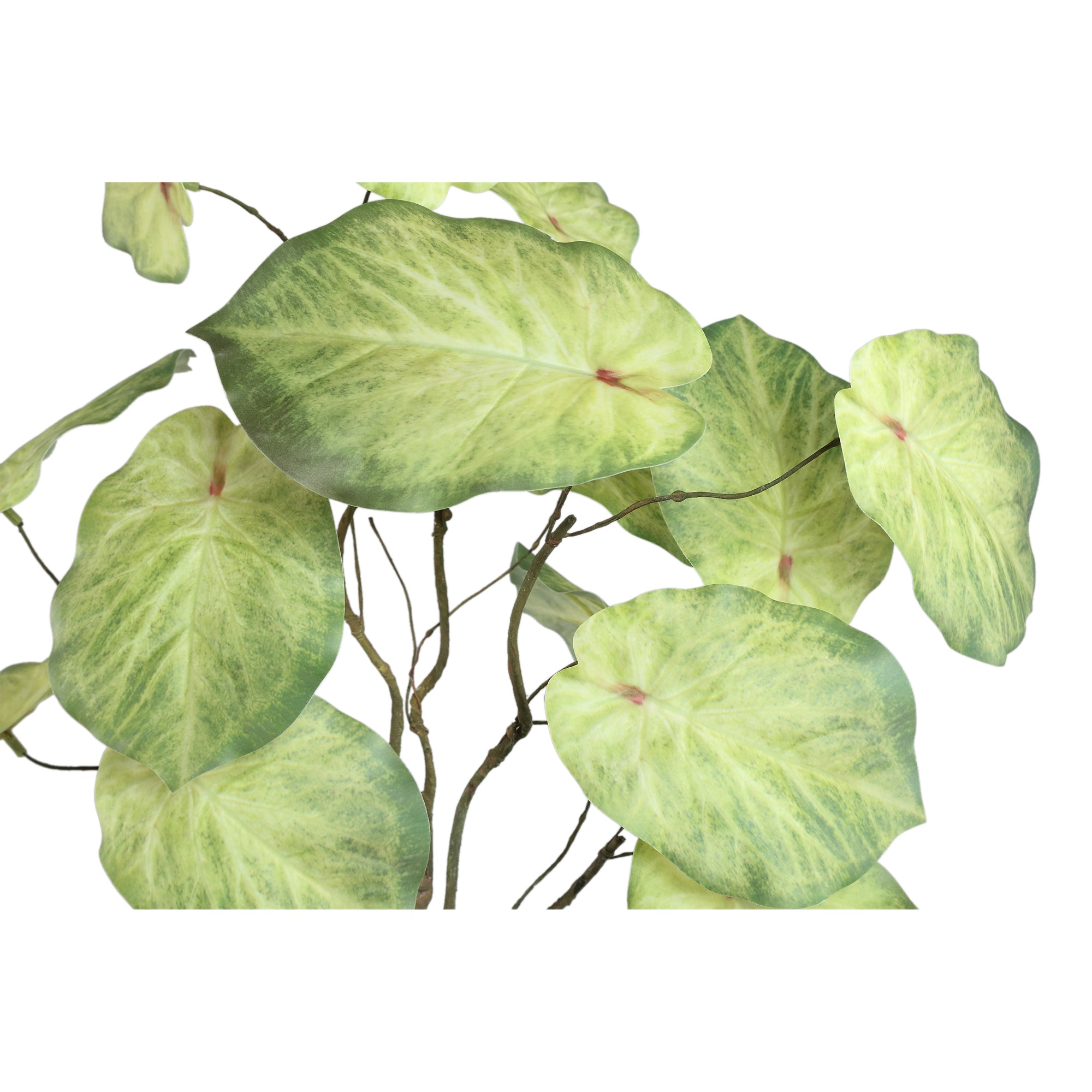 Leaves Plant Green caladium spray Vert — Feuille artificielle — vue 2 | Häus