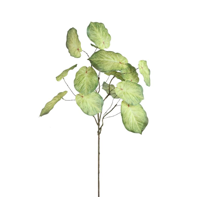 Leaves Plant Green caladium spray Vert — Feuille artificielle — vue 3 | Häus