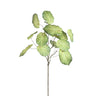 Feuille artificielle Caladium — Vert