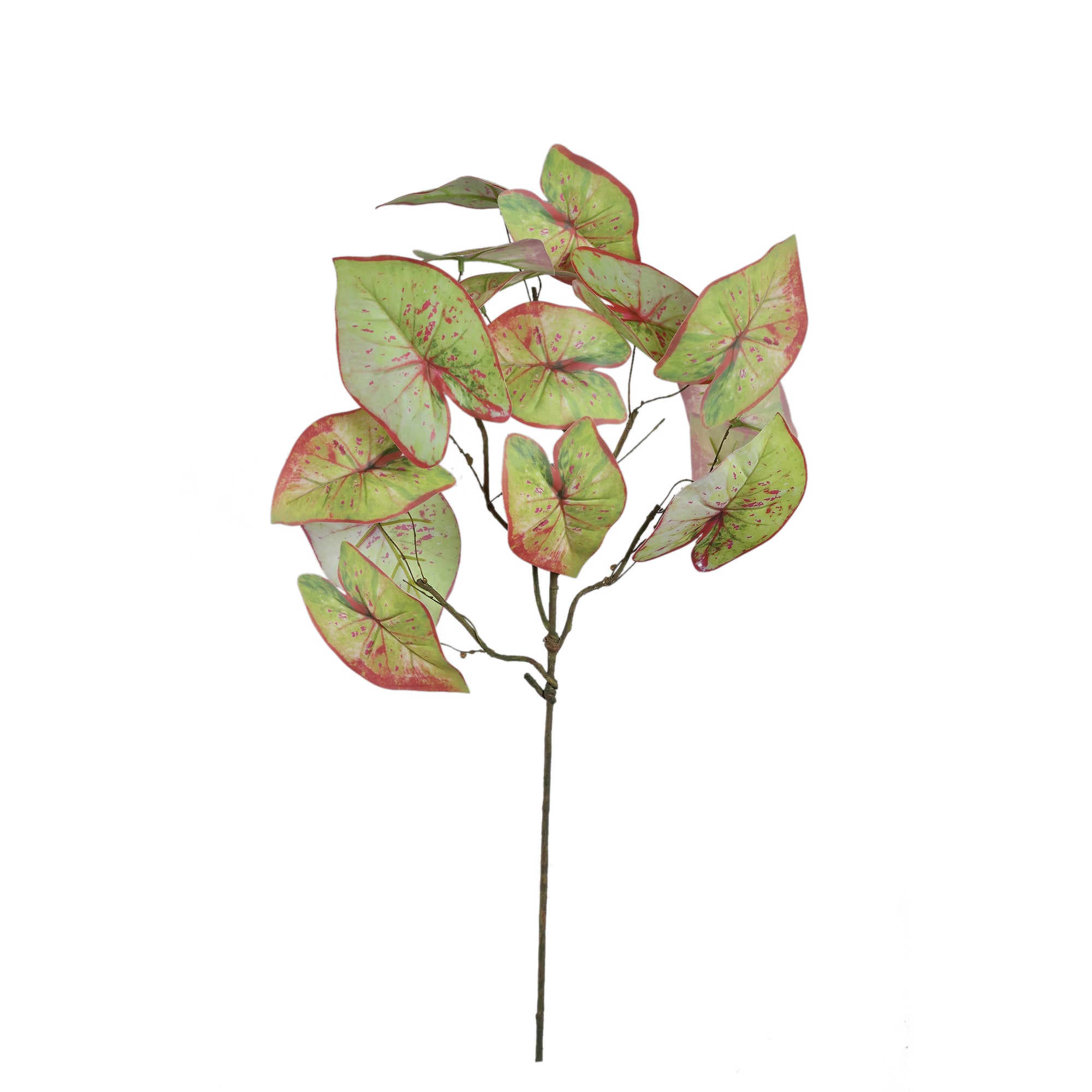 Leaves Plant Green Red caladium spray Vert foncé — Feuille artificielle — Feuille artificielle design premium | Häus