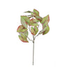 Leaves Plant Green Red caladium spray Vert foncé — Feuille artificielle — Feuille artificielle design premium | Häus