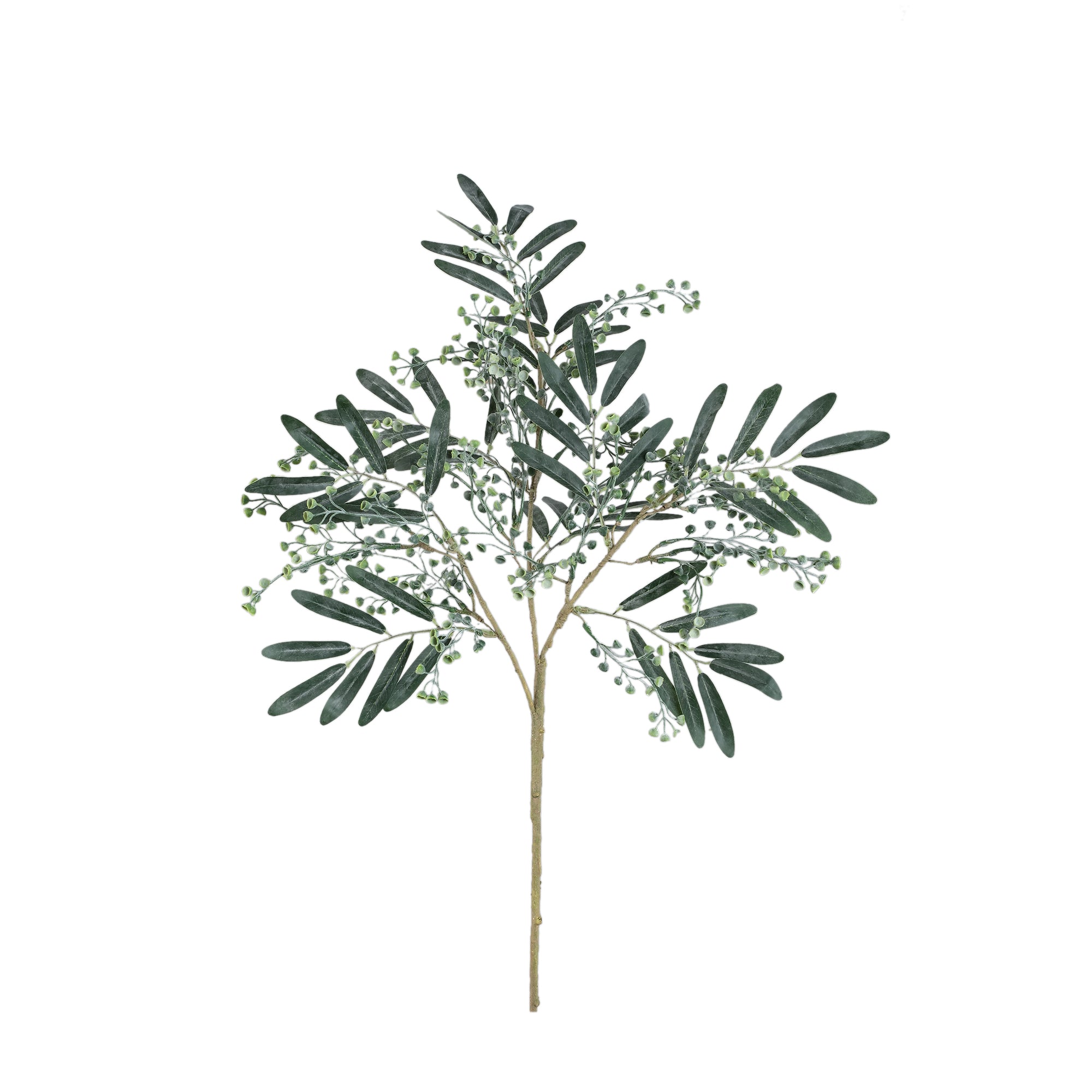 Leaves Plant Dark Green seeded eucalyptus spray Vert foncé — Feuille artificielle — Feuille artificielle design premium | ...