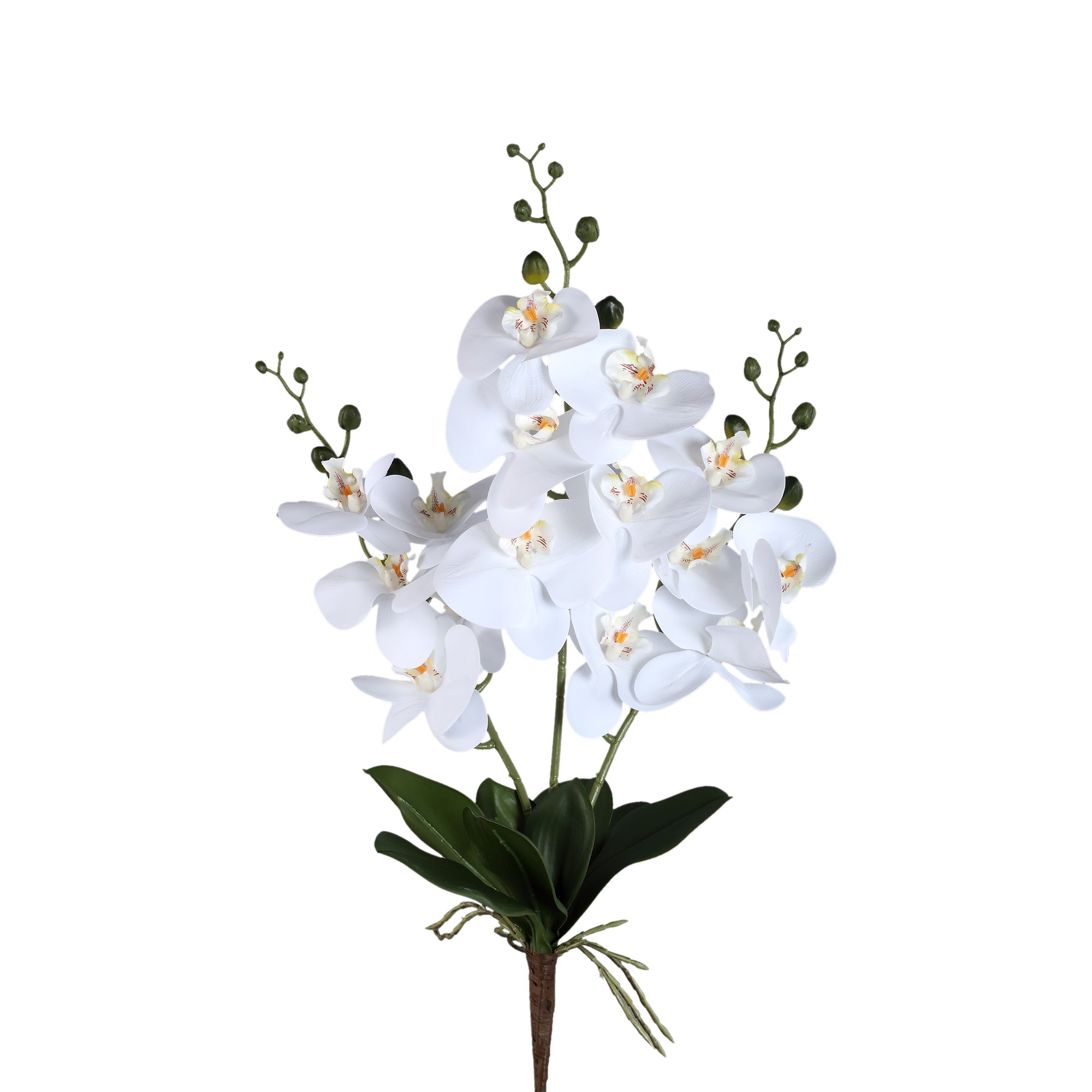 Succulent Plant White phalaenopsis plant bush Blanc — Fleur artificielle — Fleur artificielle design premium | Häus