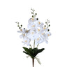 Succulent Plant White phalaenopsis plant bush Blanc — Fleur artificielle — Fleur artificielle design premium | Häus