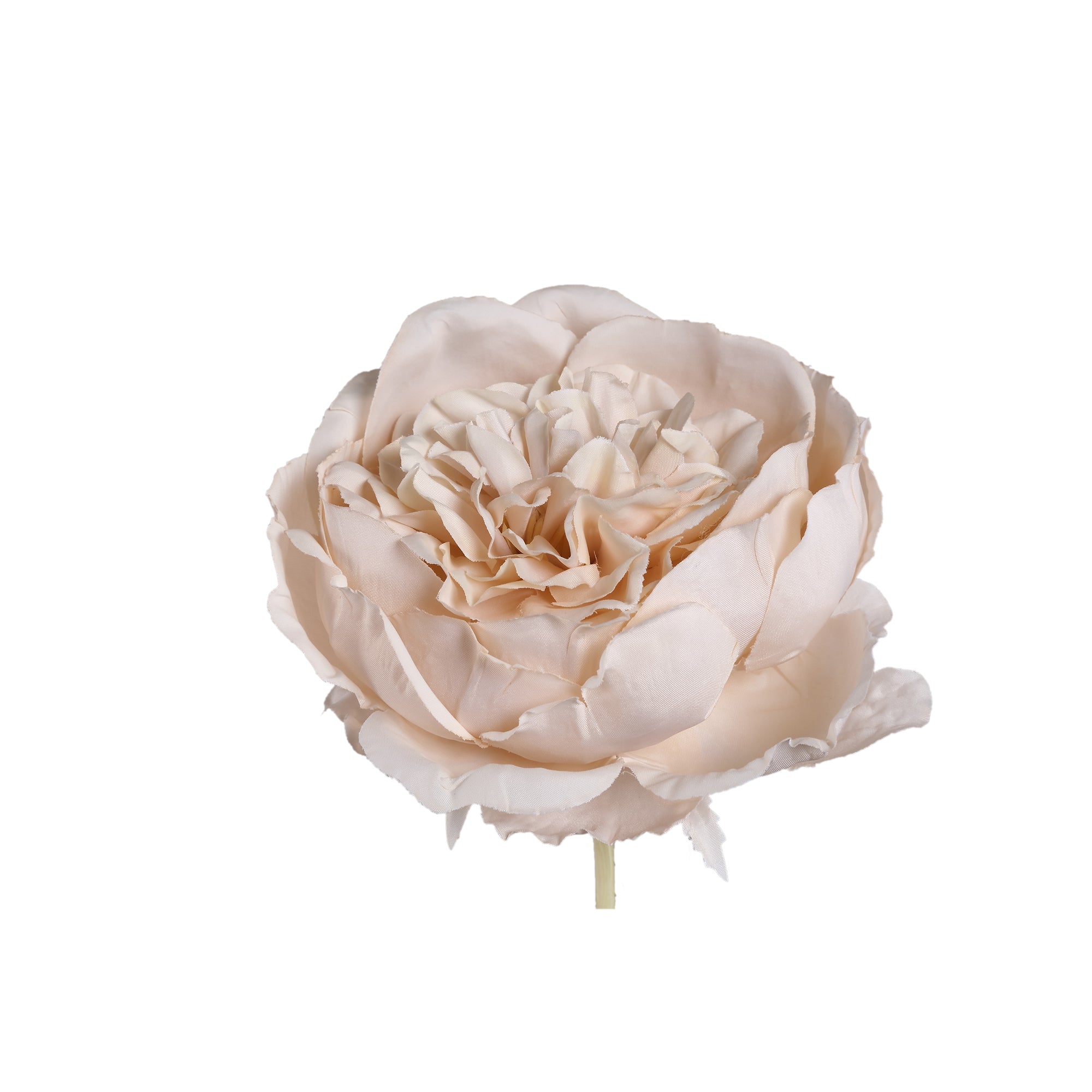Rose Flower Cream cabbage rose Crème — Fleur artificielle — vue 2 | Häus