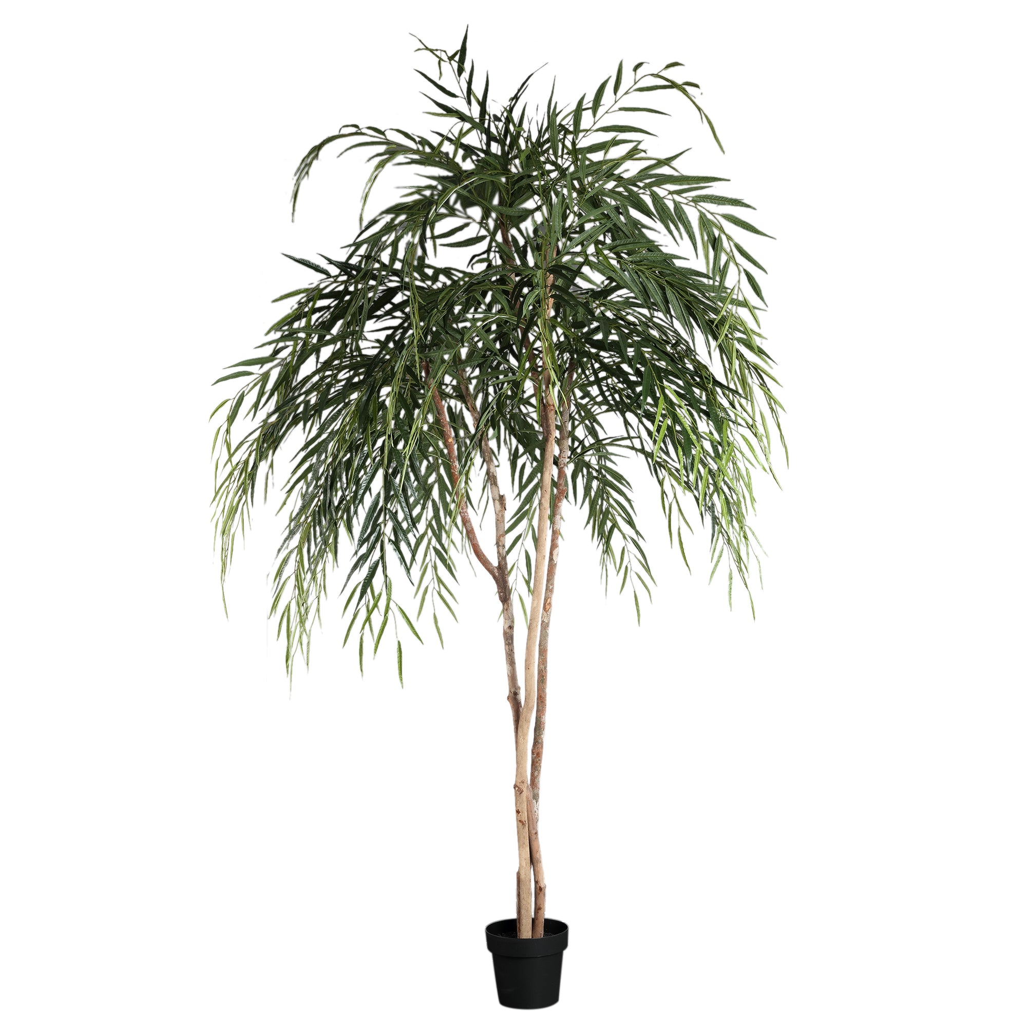 Tree Green willow tree in pot Vert — Plante artificielle — Plante artificielle design premium | Häus