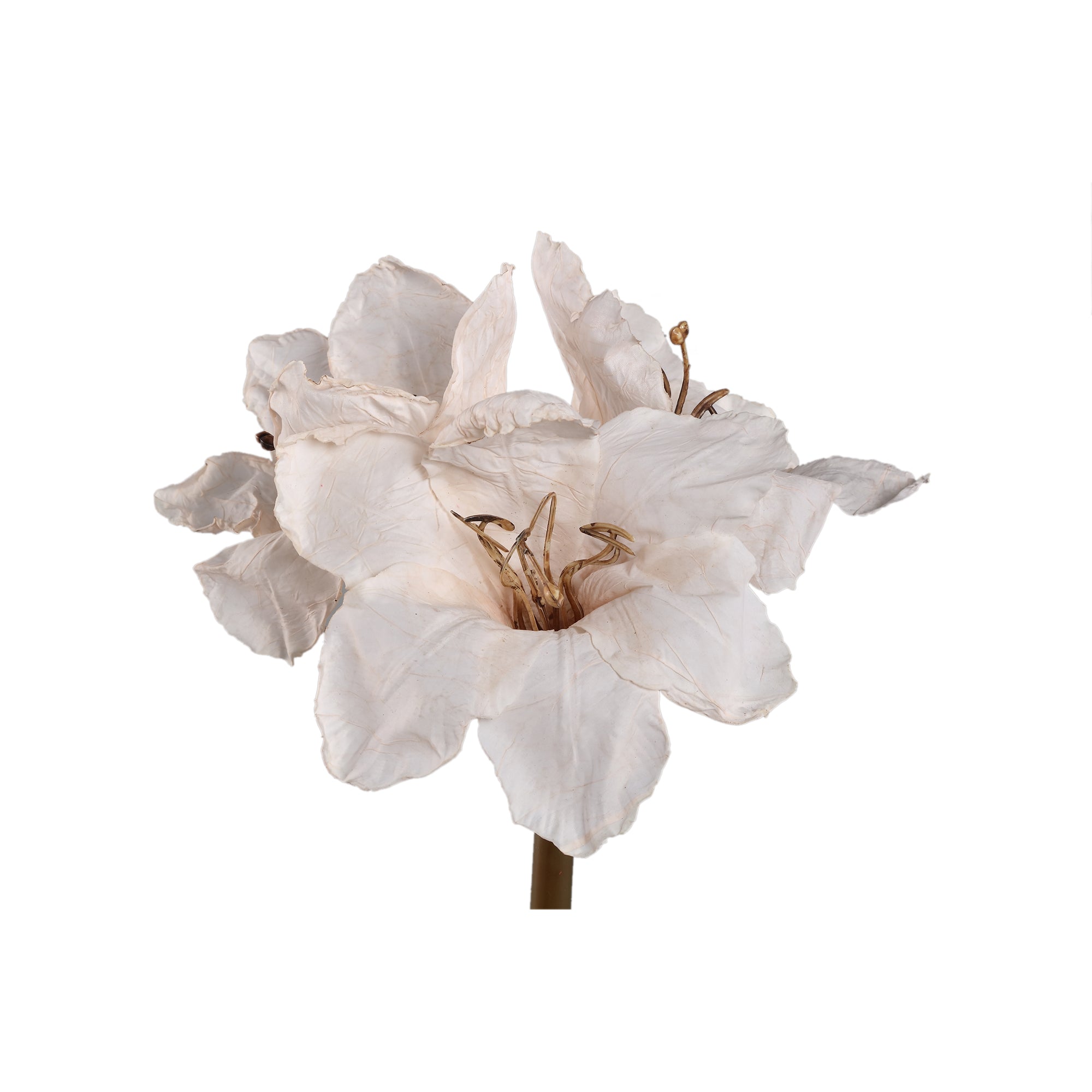 Amaryllis Flower Cream amaryllis Crème — Fleur artificielle — vue 2 | Häus
