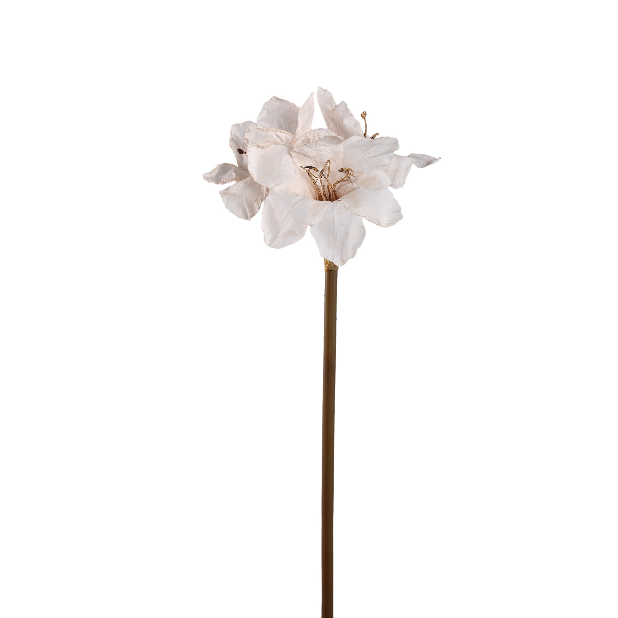 Amaryllis Flower Cream amaryllis Crème — Fleur artificielle — Fleur artificielle design premium | Häus