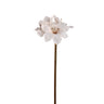 Amaryllis Flower Cream amaryllis Crème — Fleur artificielle — Fleur artificielle design premium | Häus