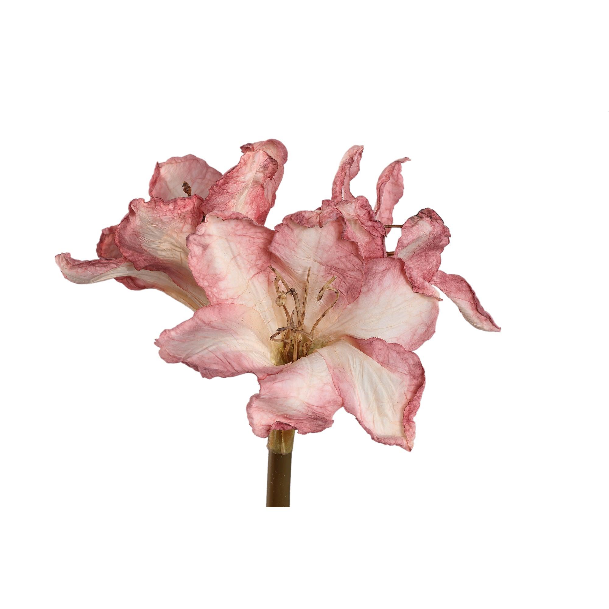 Amaryllis Flower Light Pink amaryllis Rose clair — Fleur artificielle — vue 2 | Häus