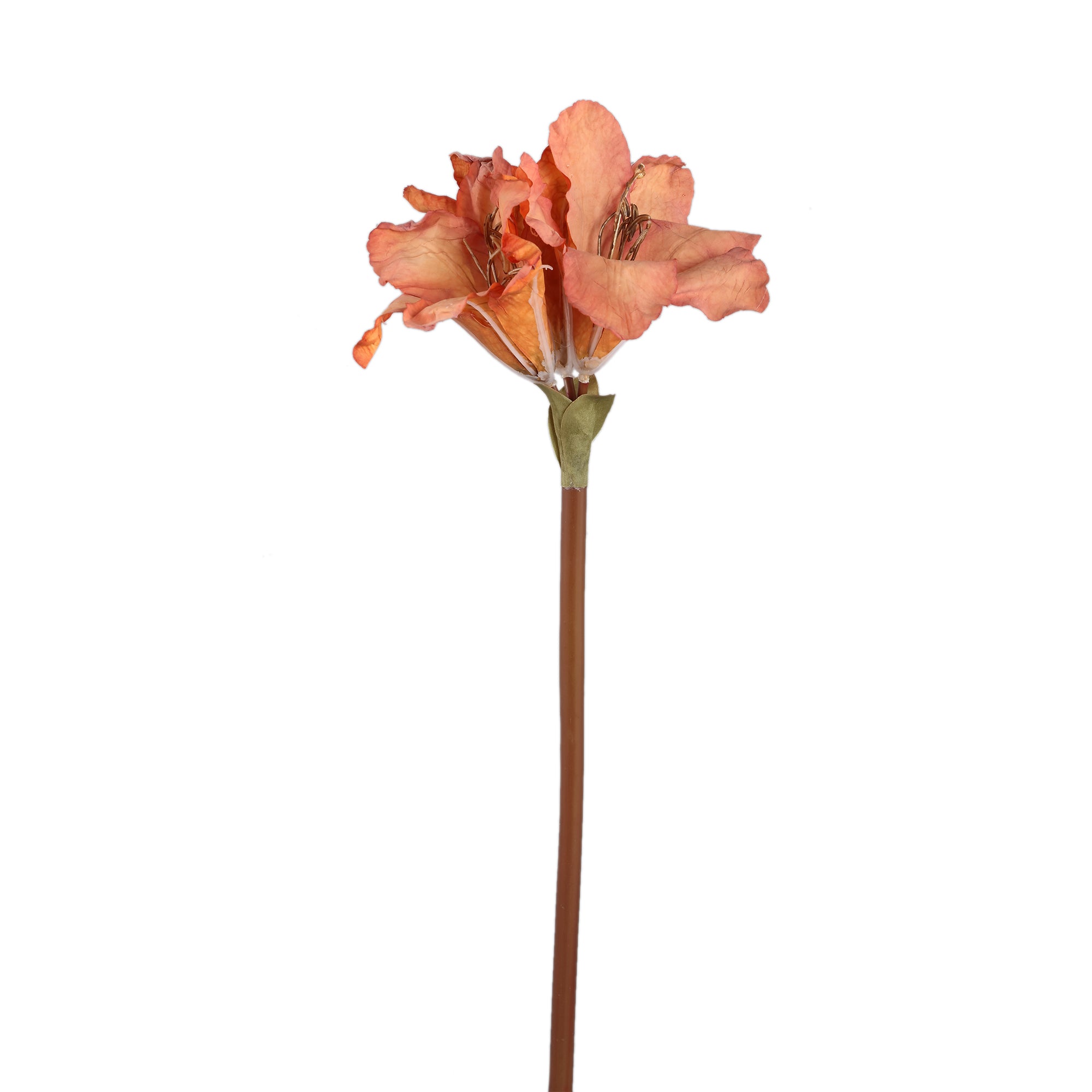 Amaryllis Flower Orange amaryllis Orange — Fleur artificielle — Fleur artificielle design premium | Häus