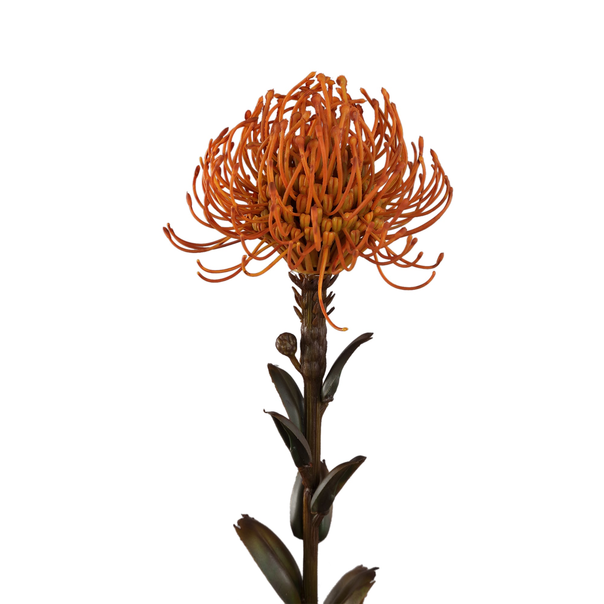 Garden Flower Camel nutan Camel — Fleur artificielle — vue 2 | Häus