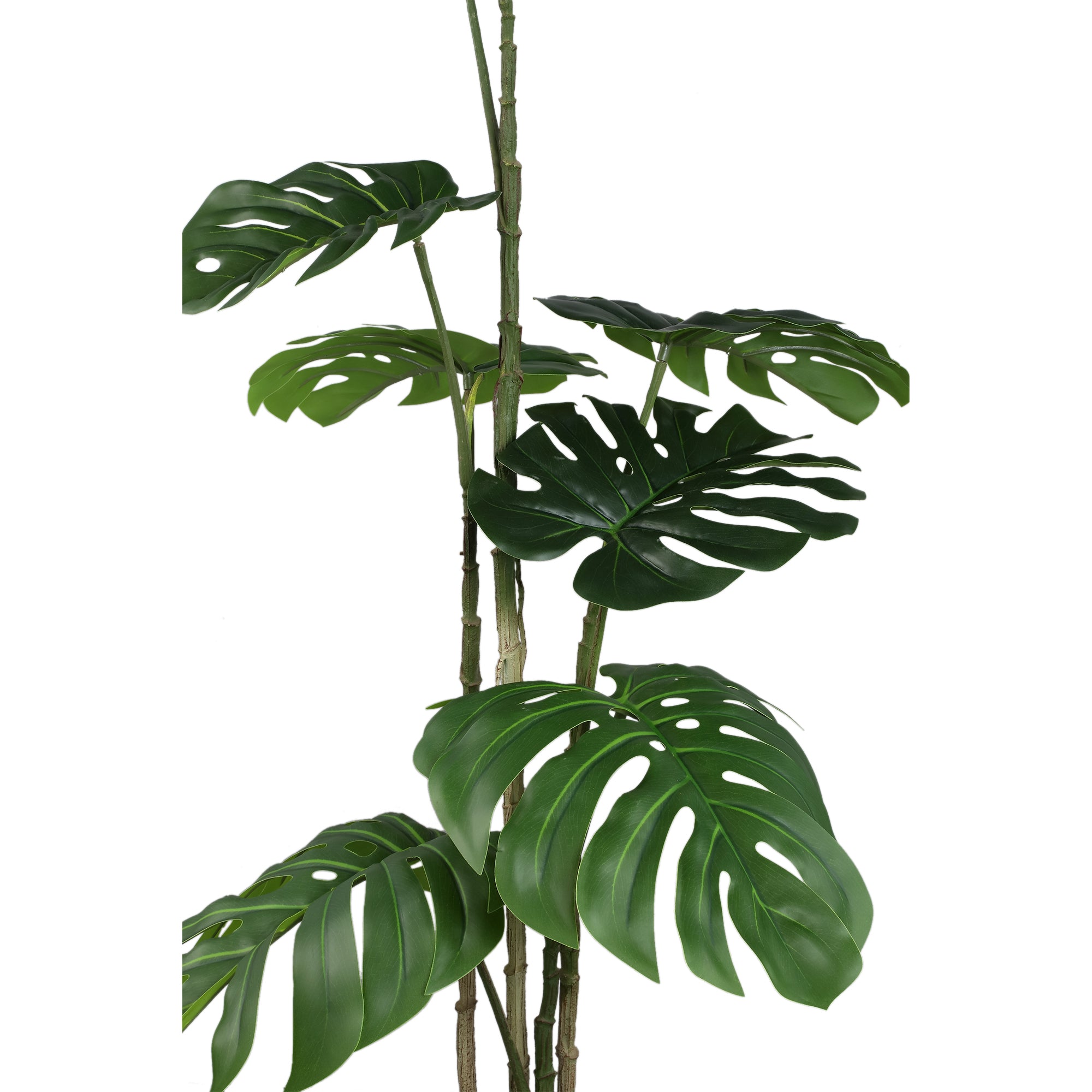 Tree Green monstera plant S Vert — Plante artificielle — vue 2 | Häus