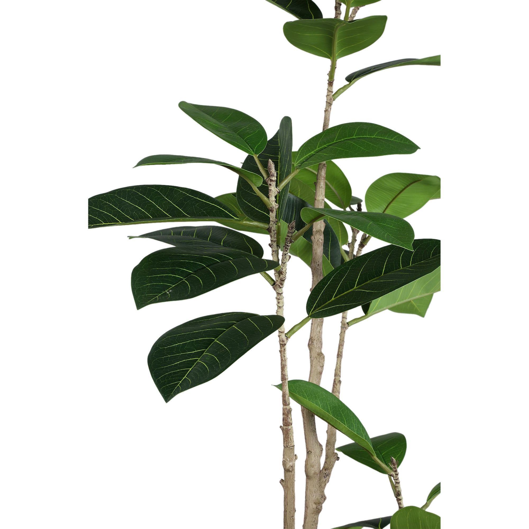 Tree Green ficus Vert — Plante artificielle — vue 2 | Häus